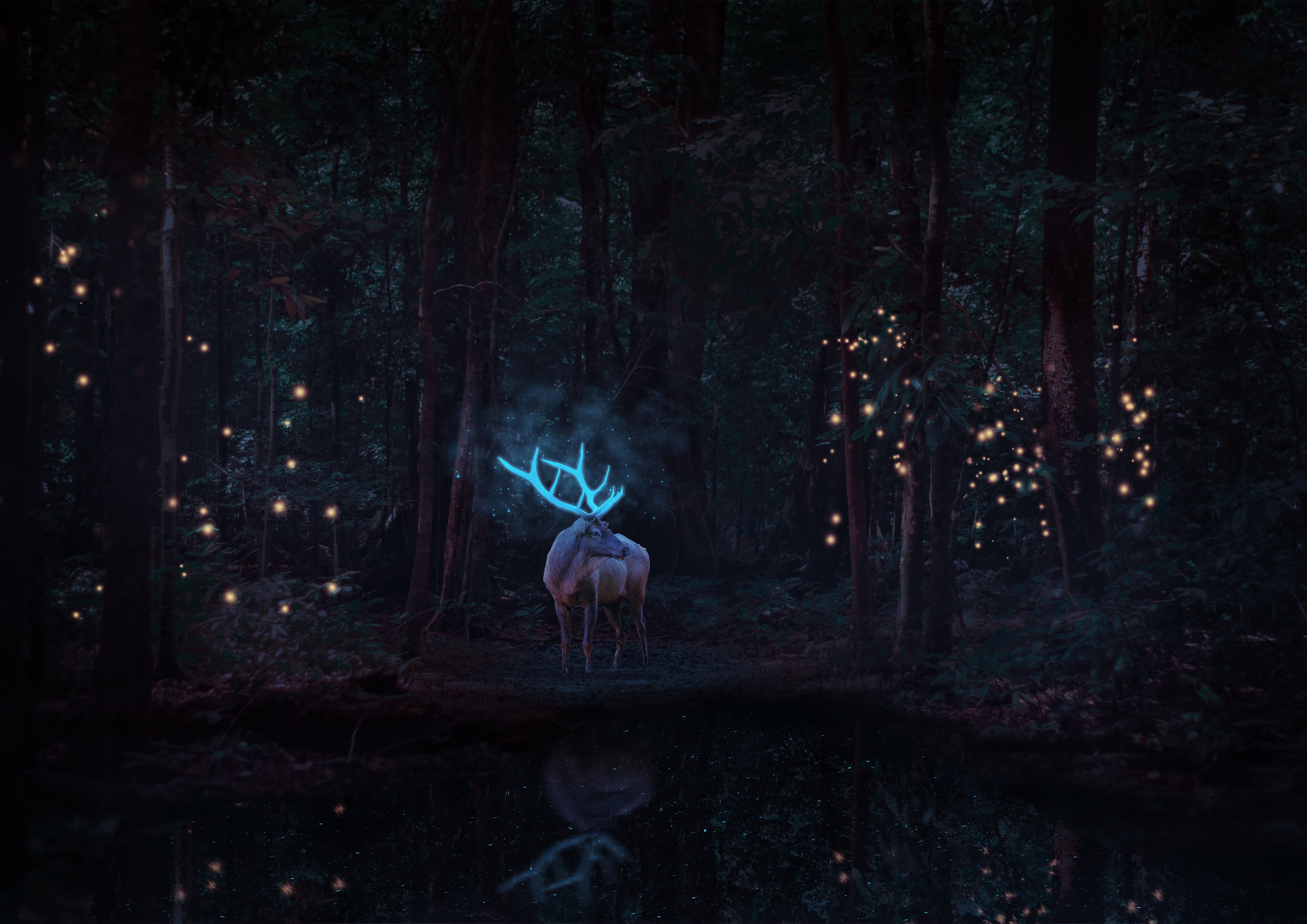 Wallpaper Magic Deer