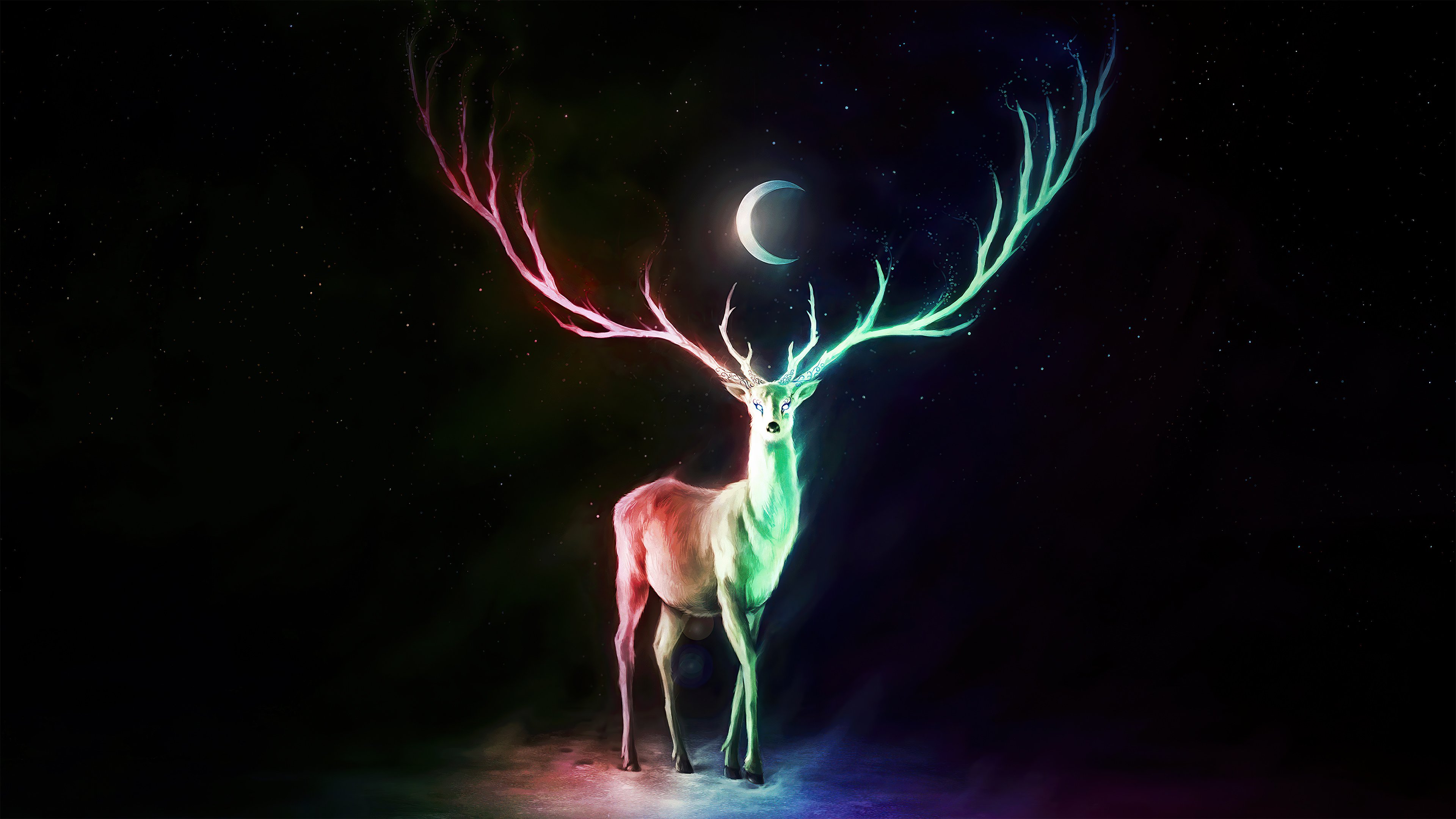 Wallpaper Deer and the moon