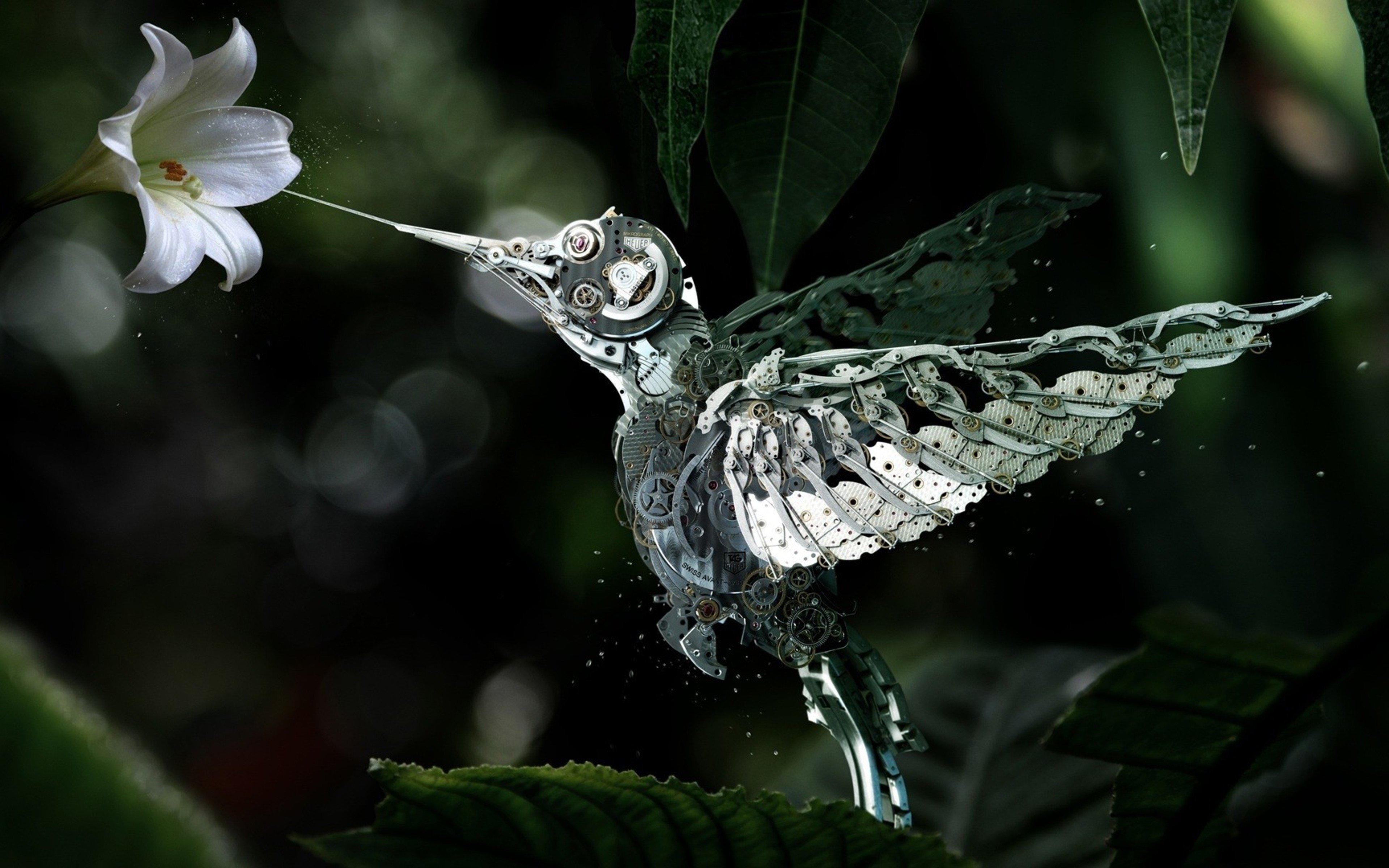 Wallpaper Cristal Hummingbird
