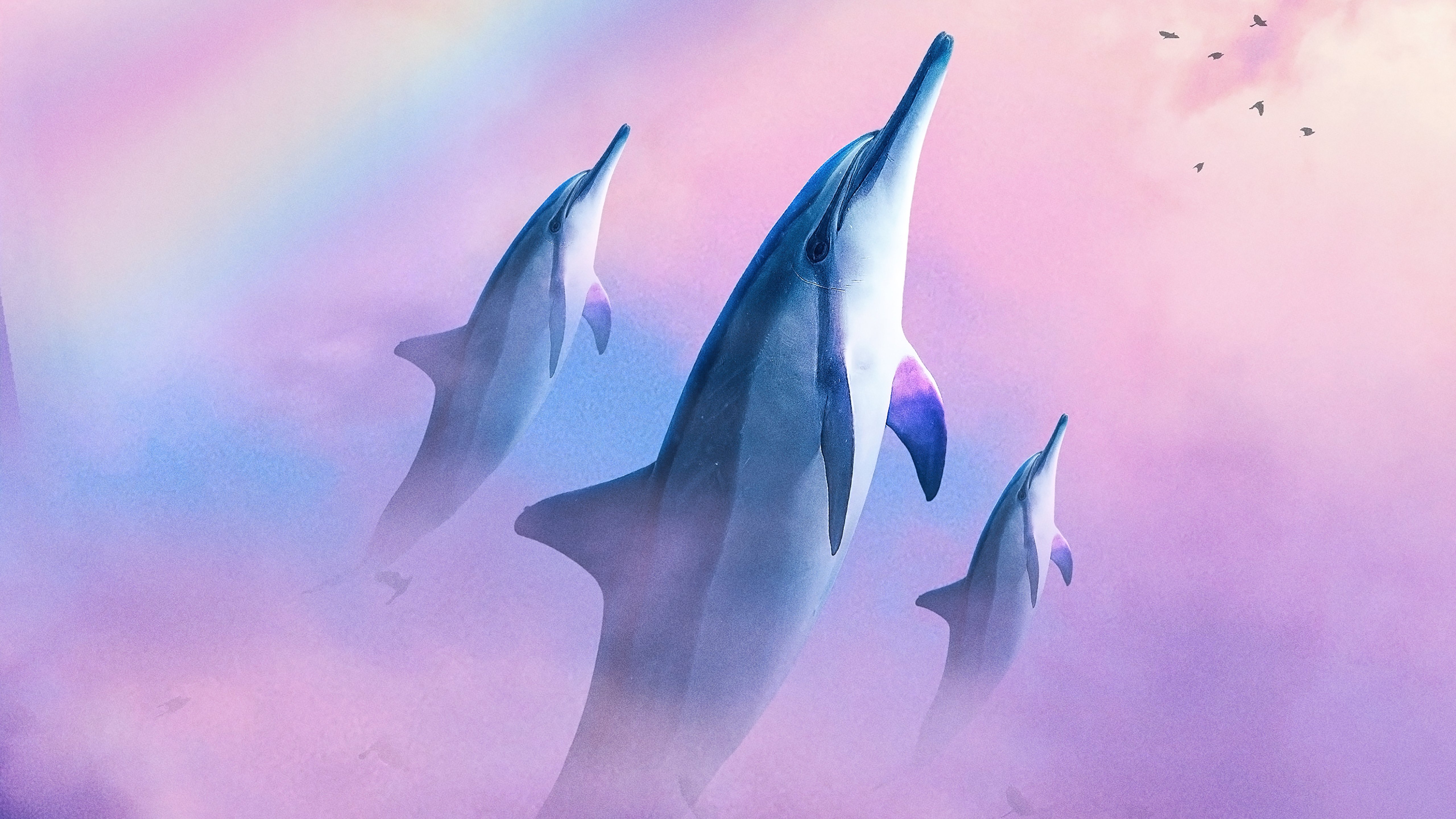 Fondos de pantalla Delfines en el cielo
