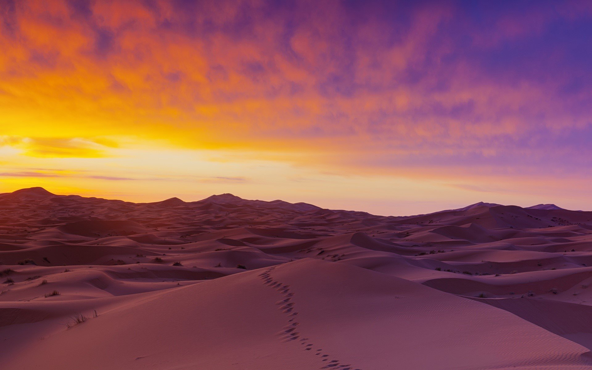 Wallpaper Sand dunes in the Sahara