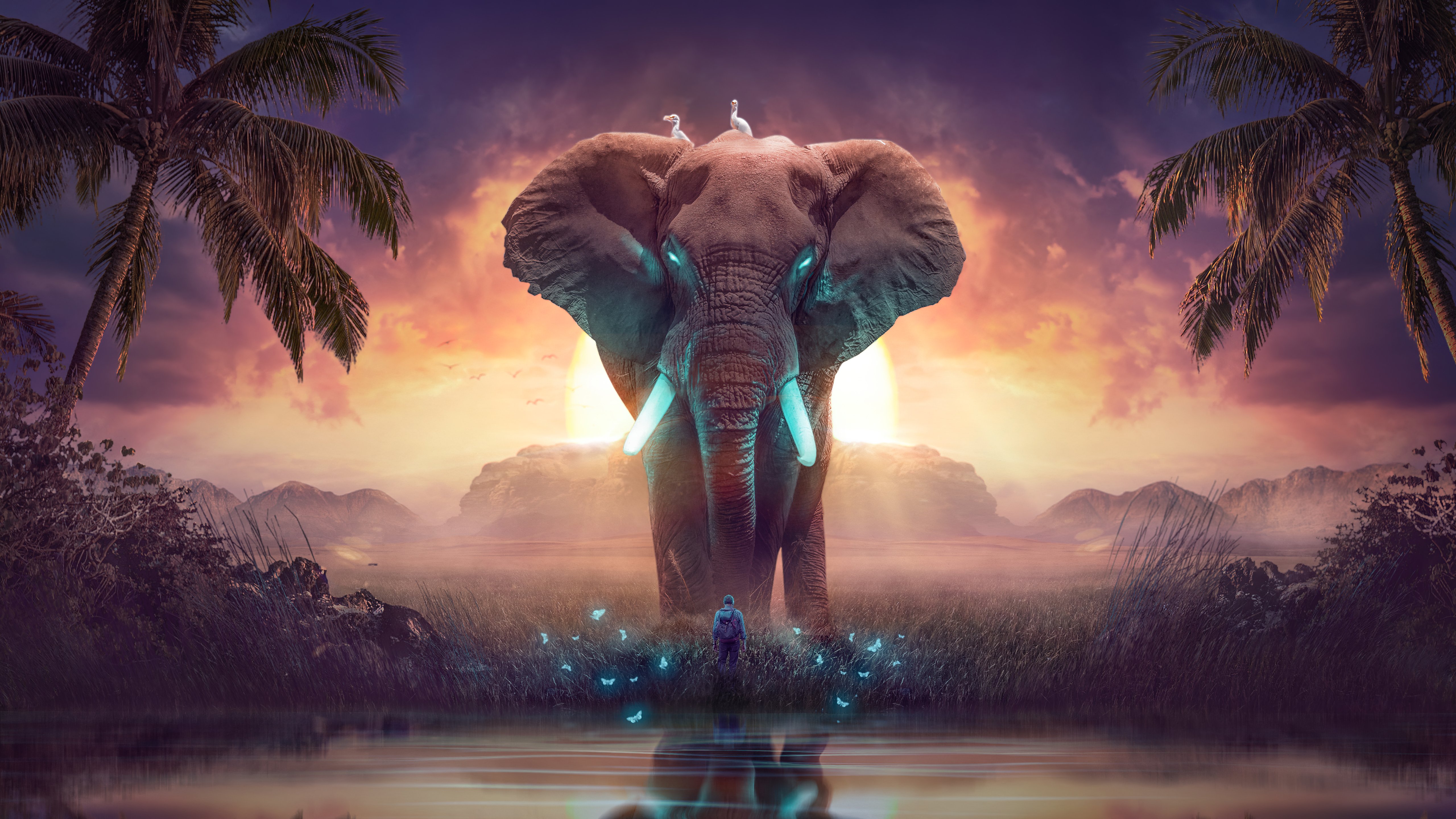 Fondos de pantalla Elefante en sueño Arte Digital