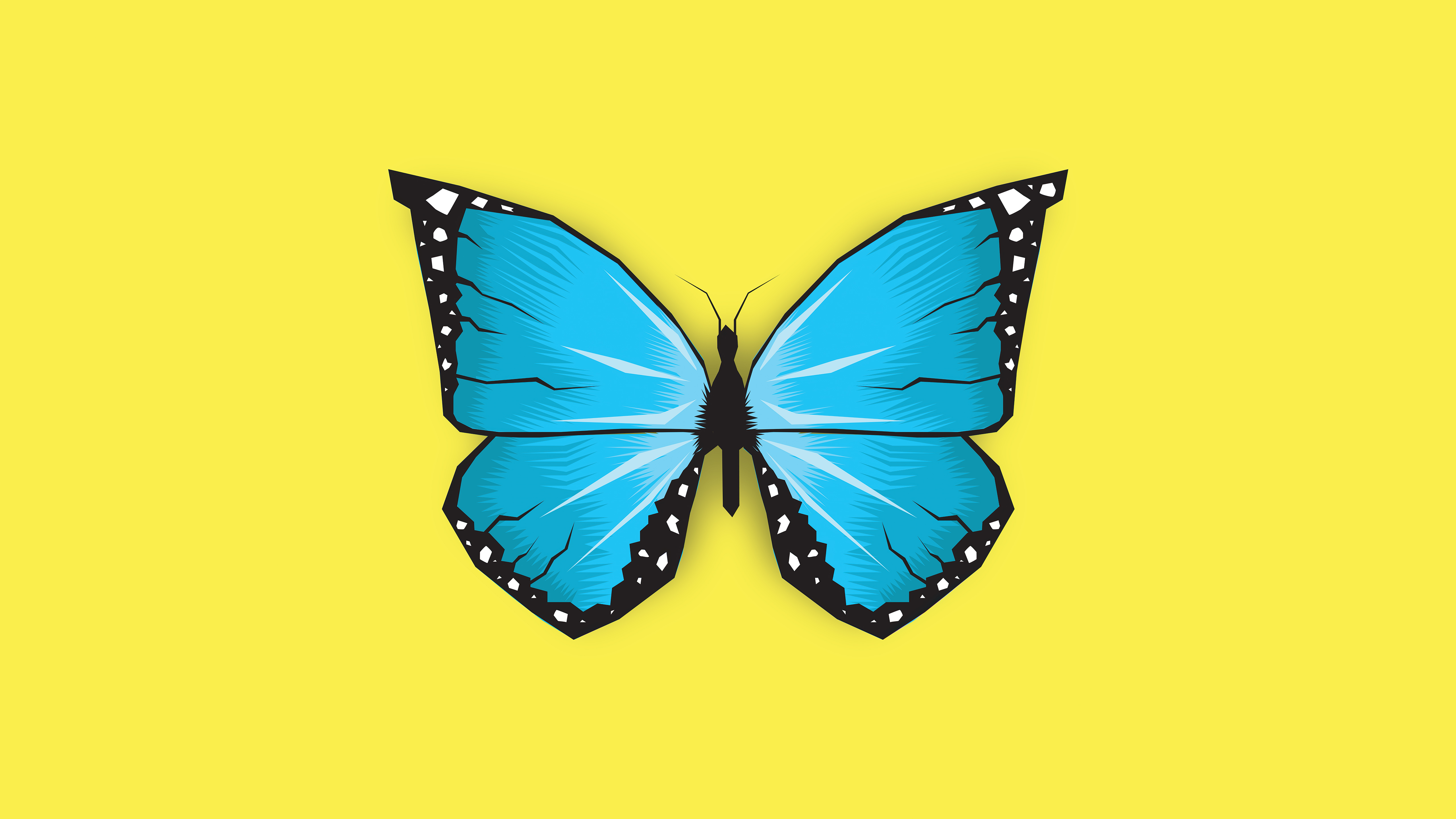 Fondos de pantalla Ilustración de mariposa azul