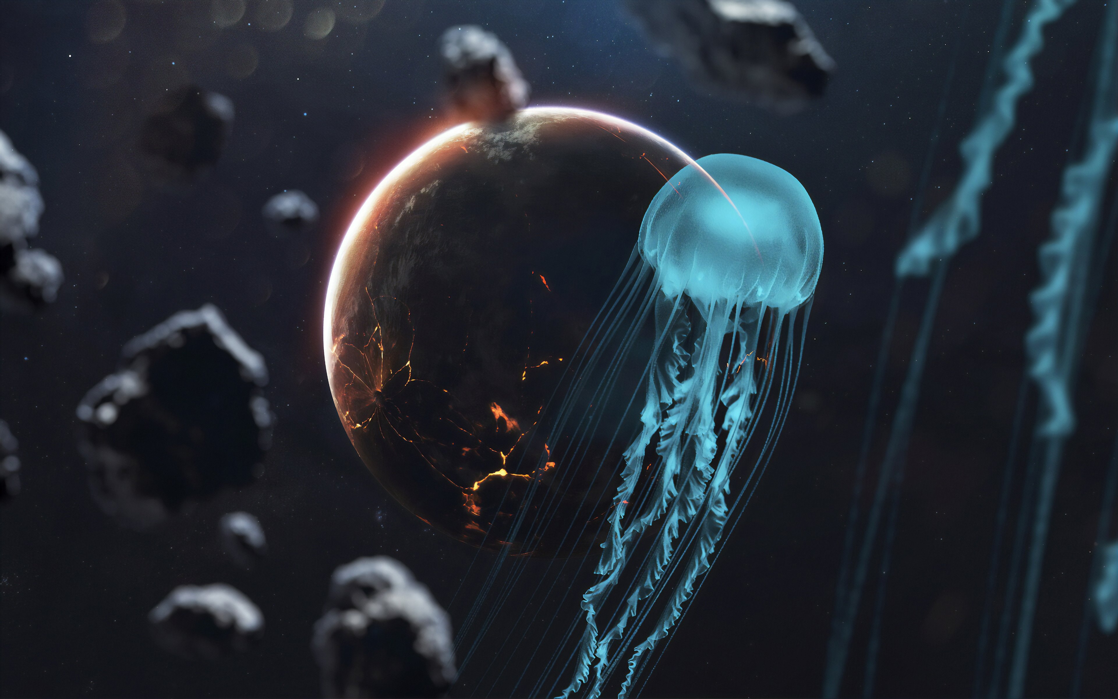 Wallpaper Jellyfish in space