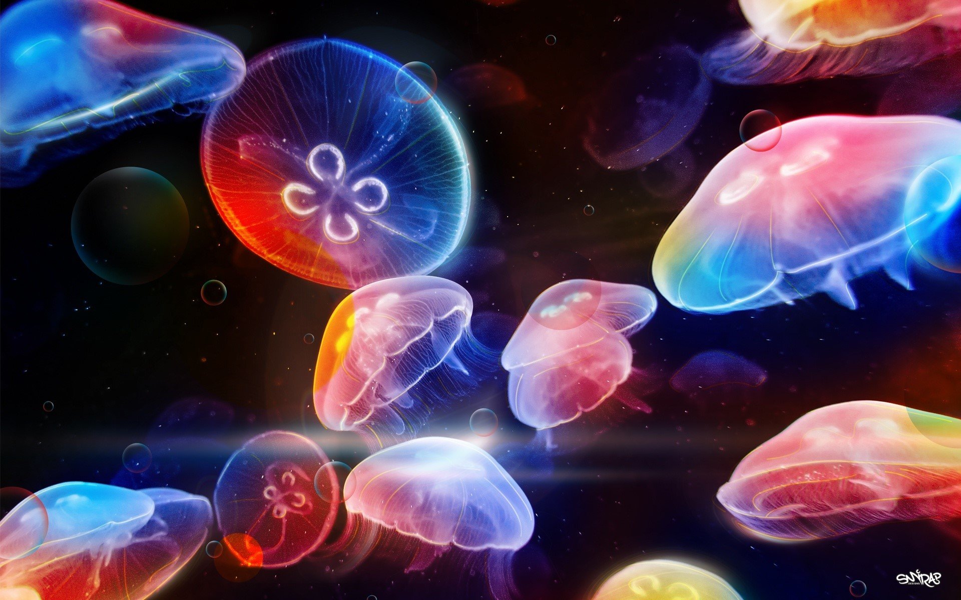 Fondos de pantalla Jellyfish