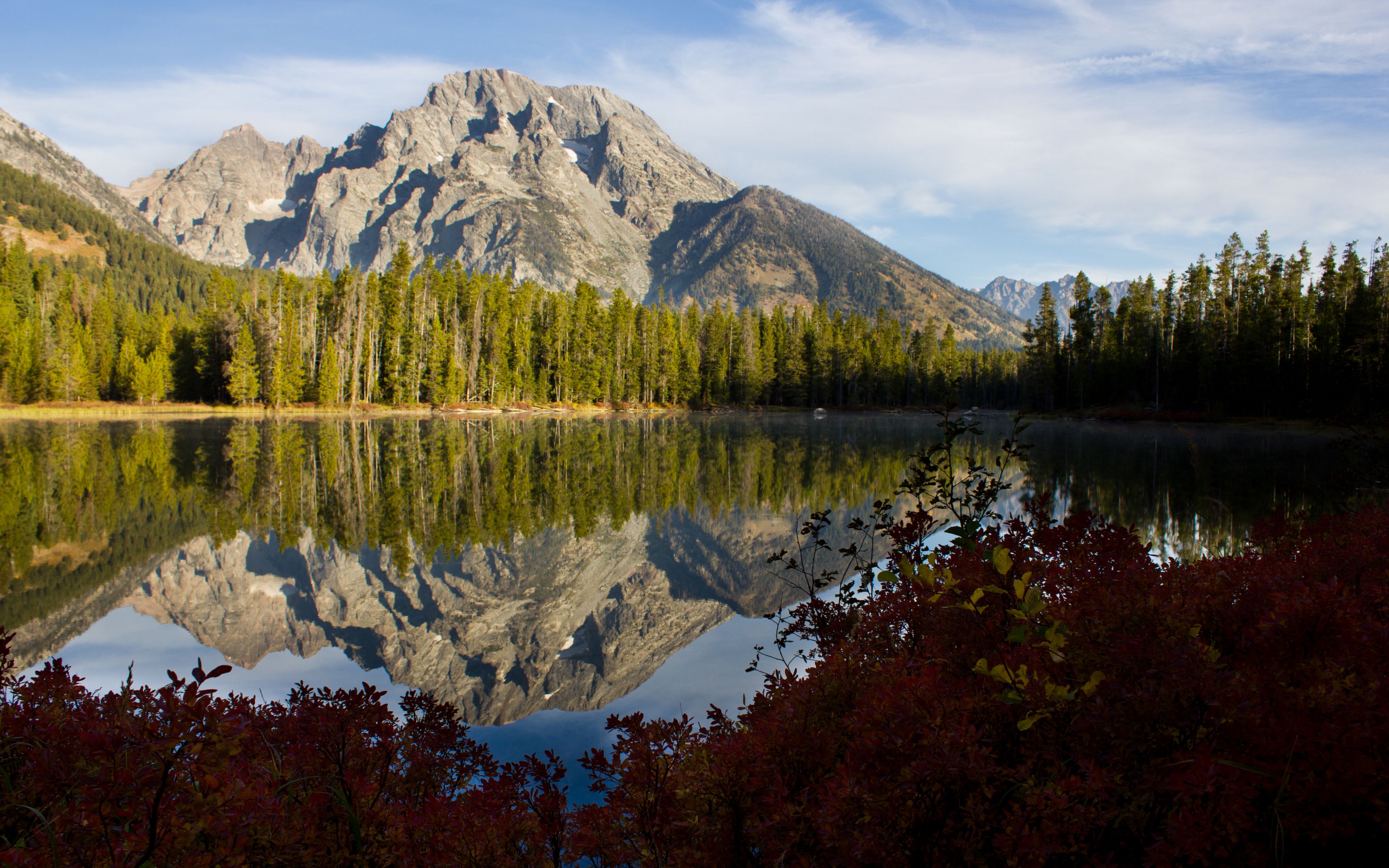 Fondos de pantalla Montaña reflejada en lago en el bosque