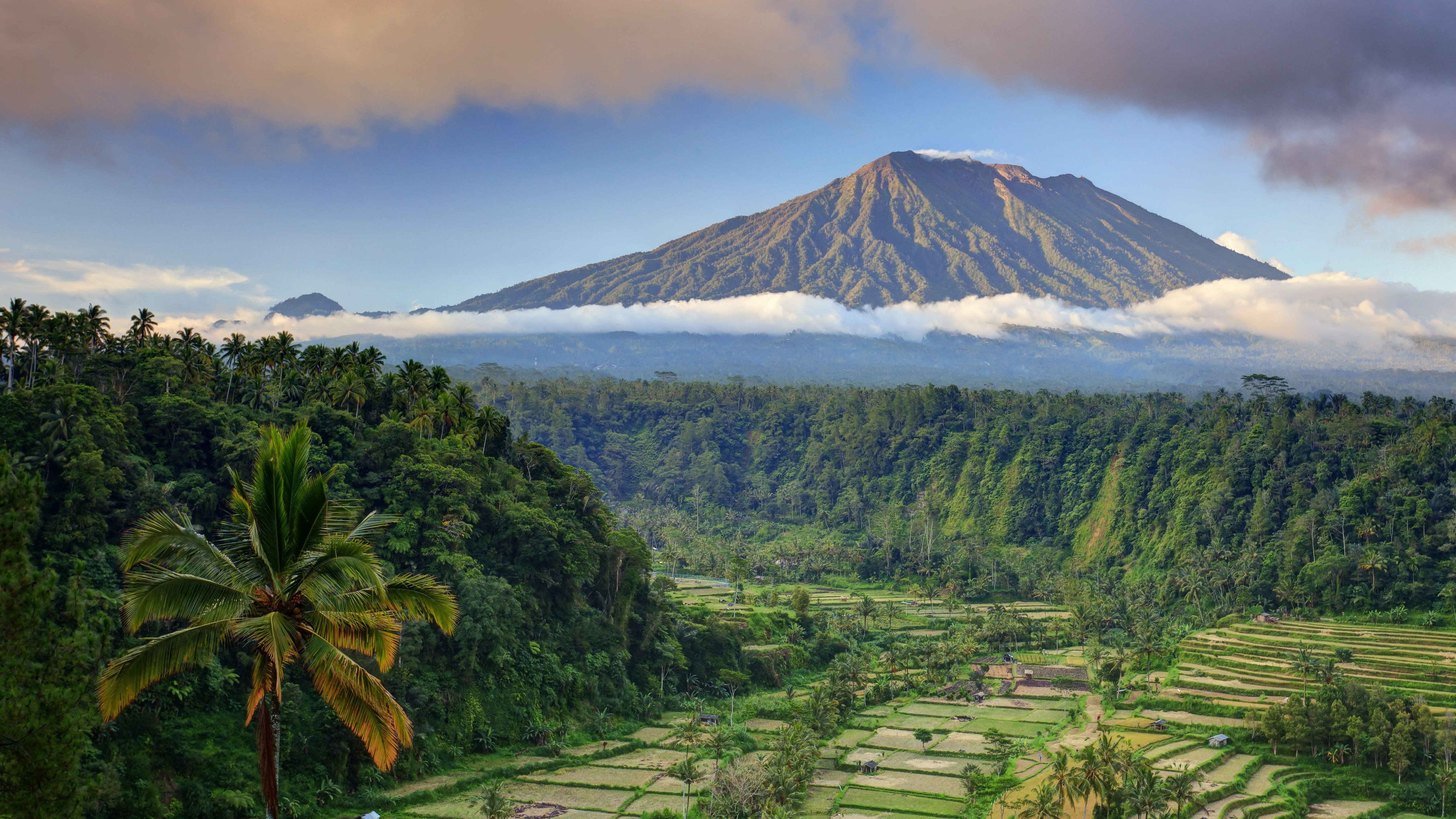 Fondos de pantalla Montañas y palmas en Bali