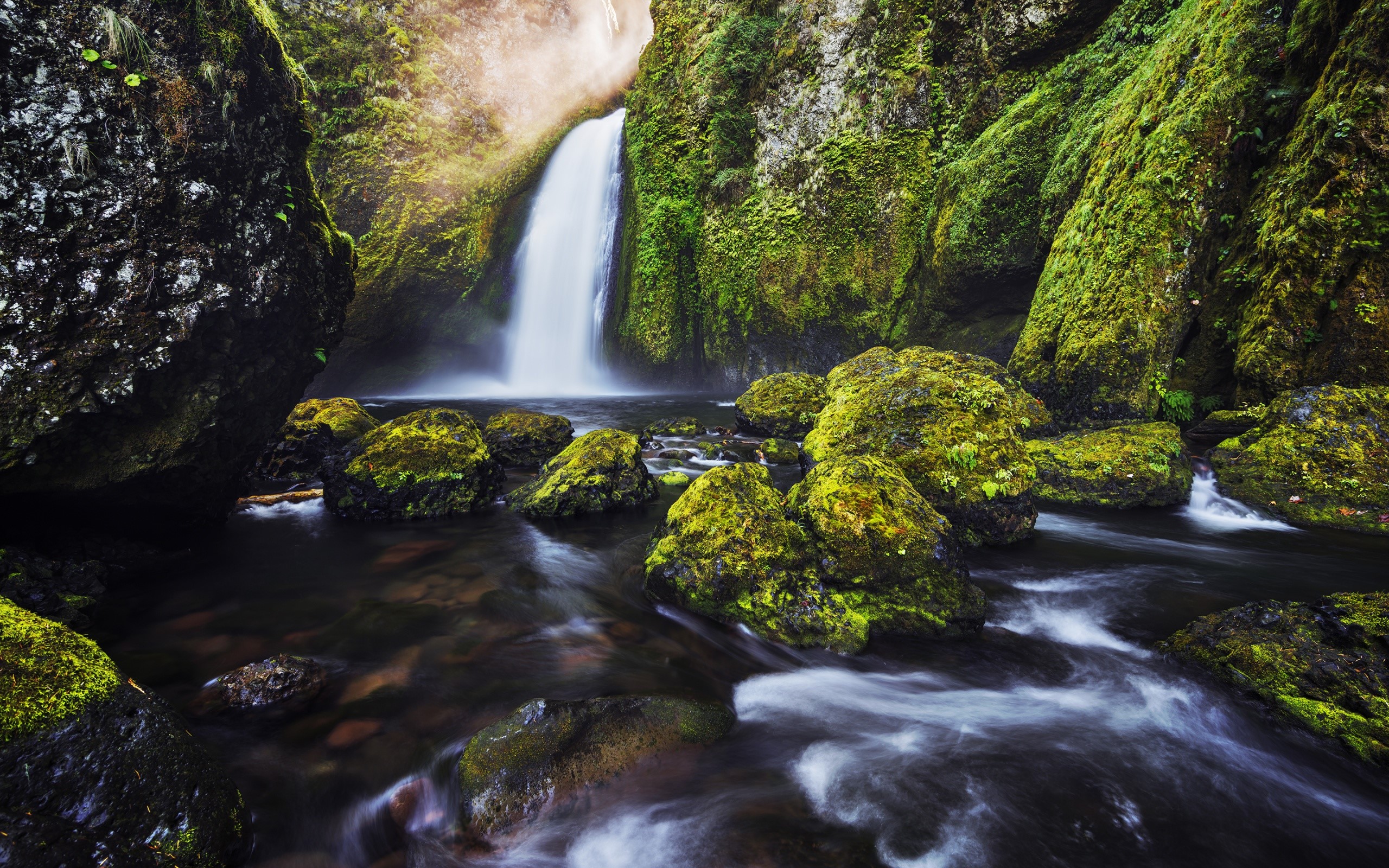 Fondos de pantalla Moss in a waterfall