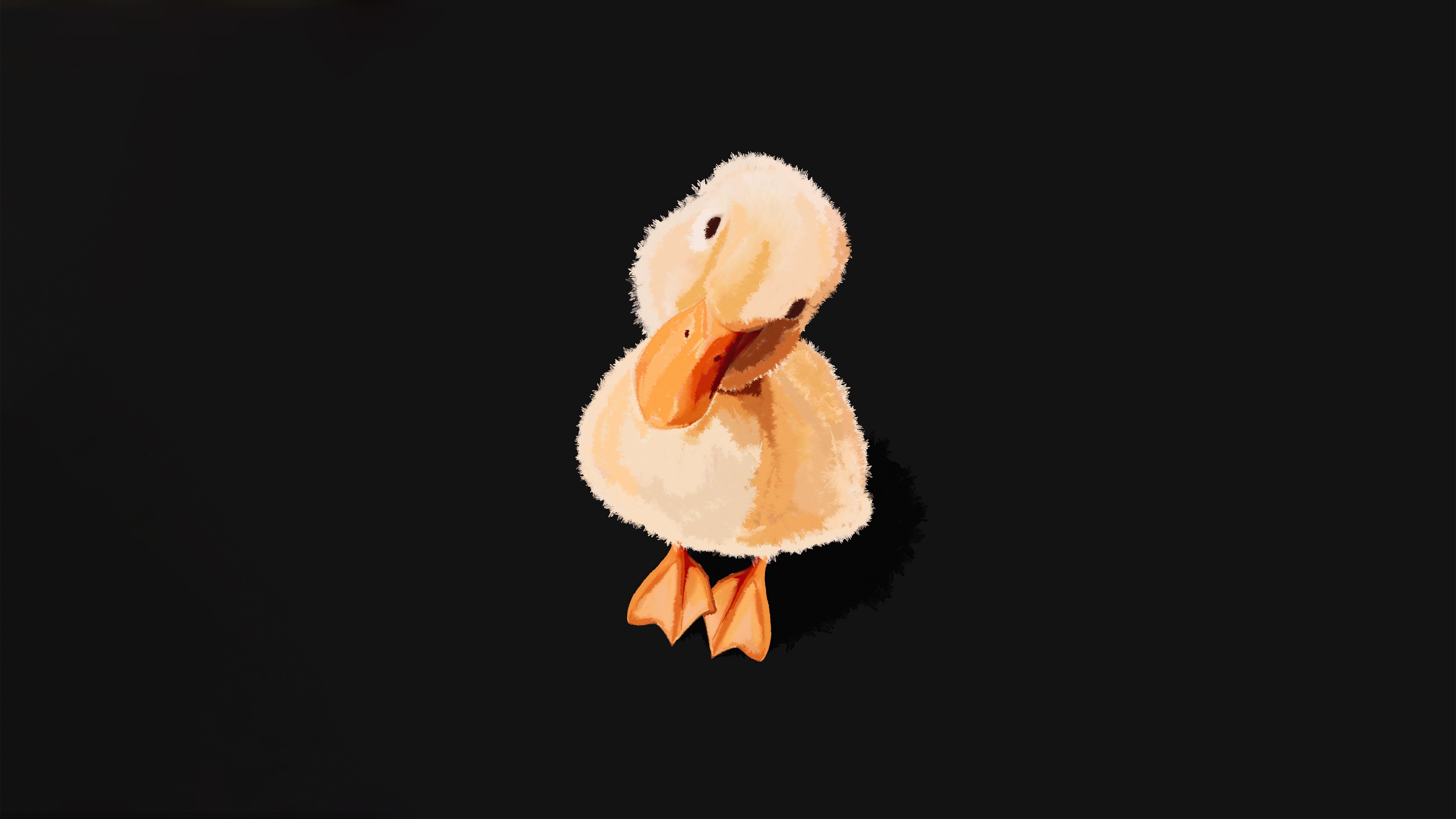 Wallpaper Duckling with tilted head