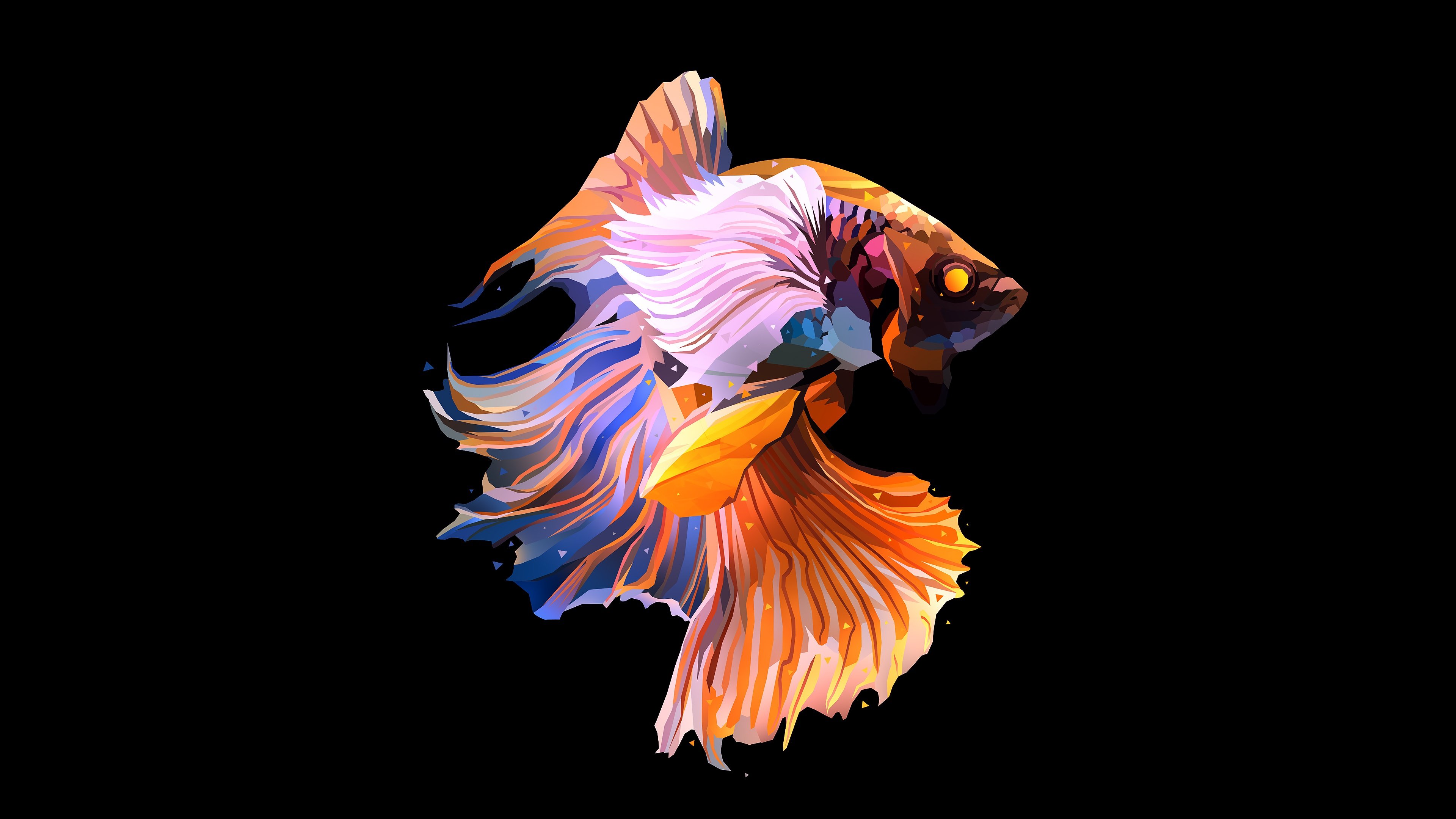 Wallpaper Fish Illustration