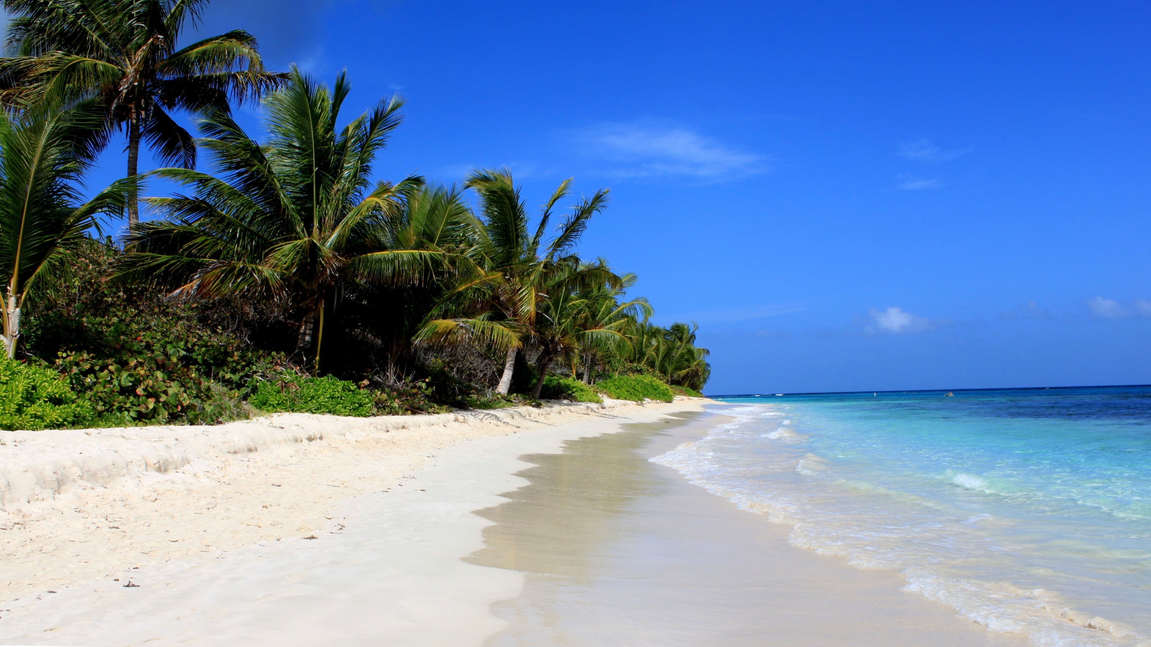 Fondos de pantalla Flamenco Beach