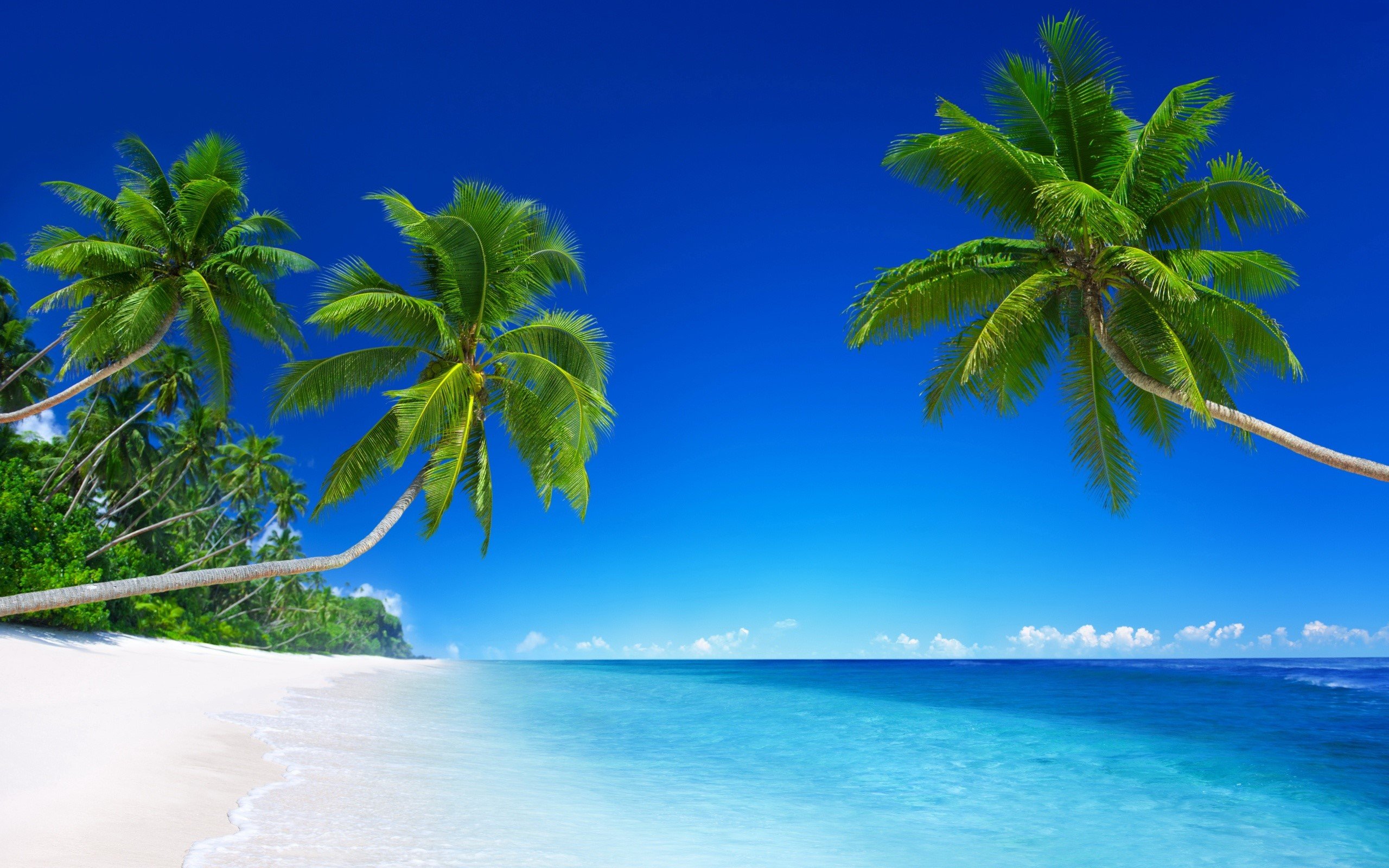 Fondos de pantalla Playa tropical