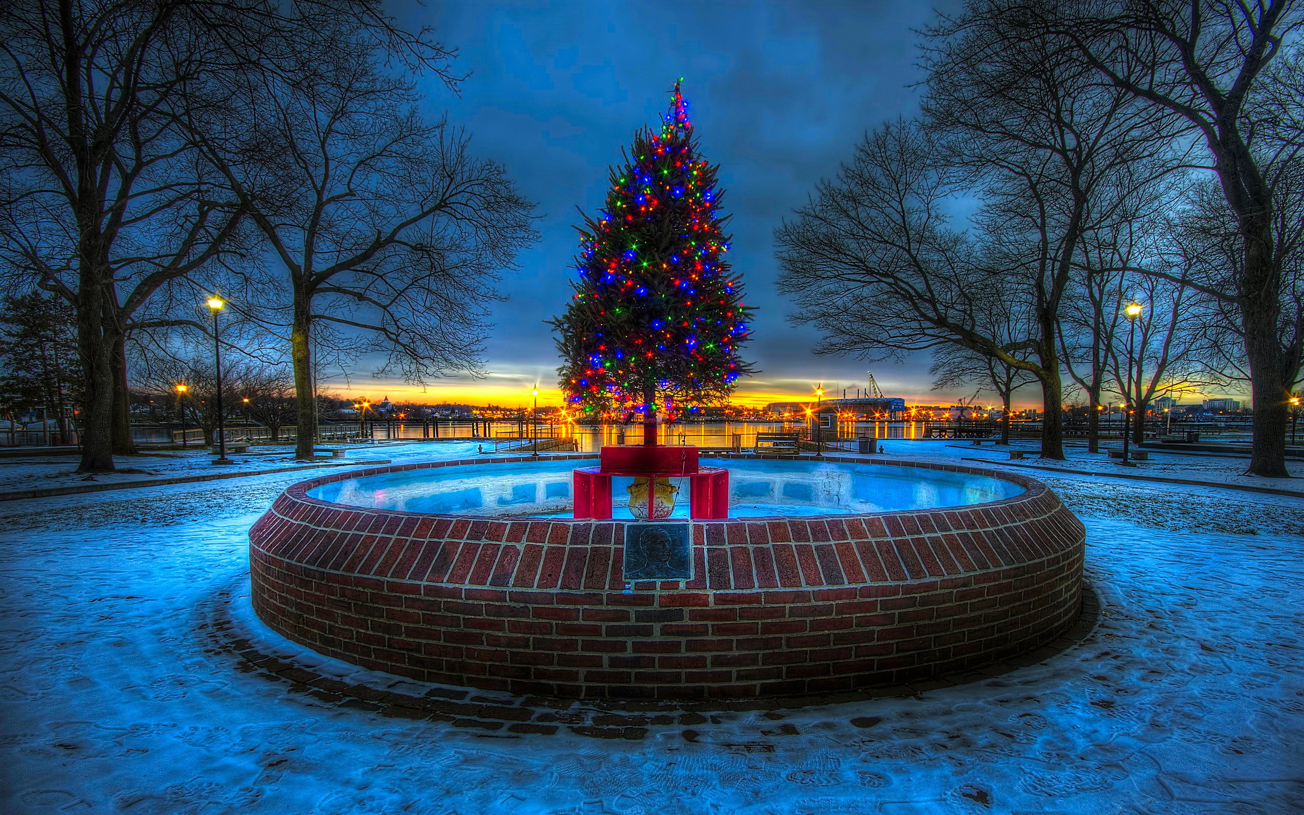 Fondos de pantalla Christmas tree in dusk landscape