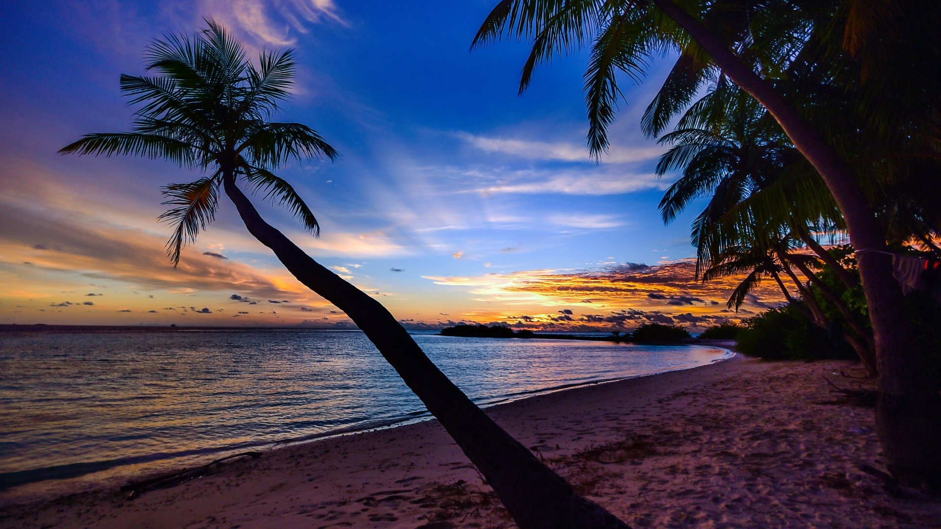 Wallpaper Beautiful sunset palm trees silhouette sea tropical 2880x1800  HD Picture Image