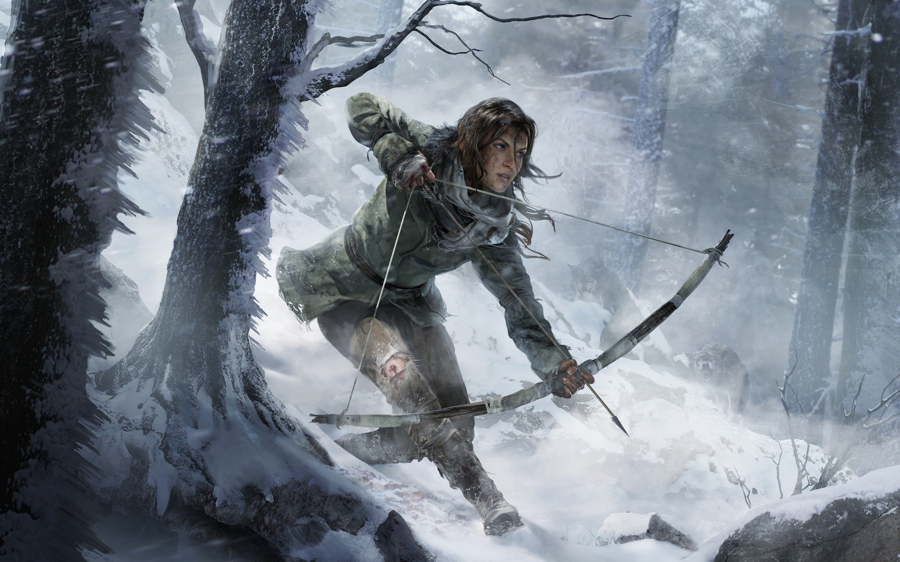 Wallpaper Rise Of The Tomb Raider