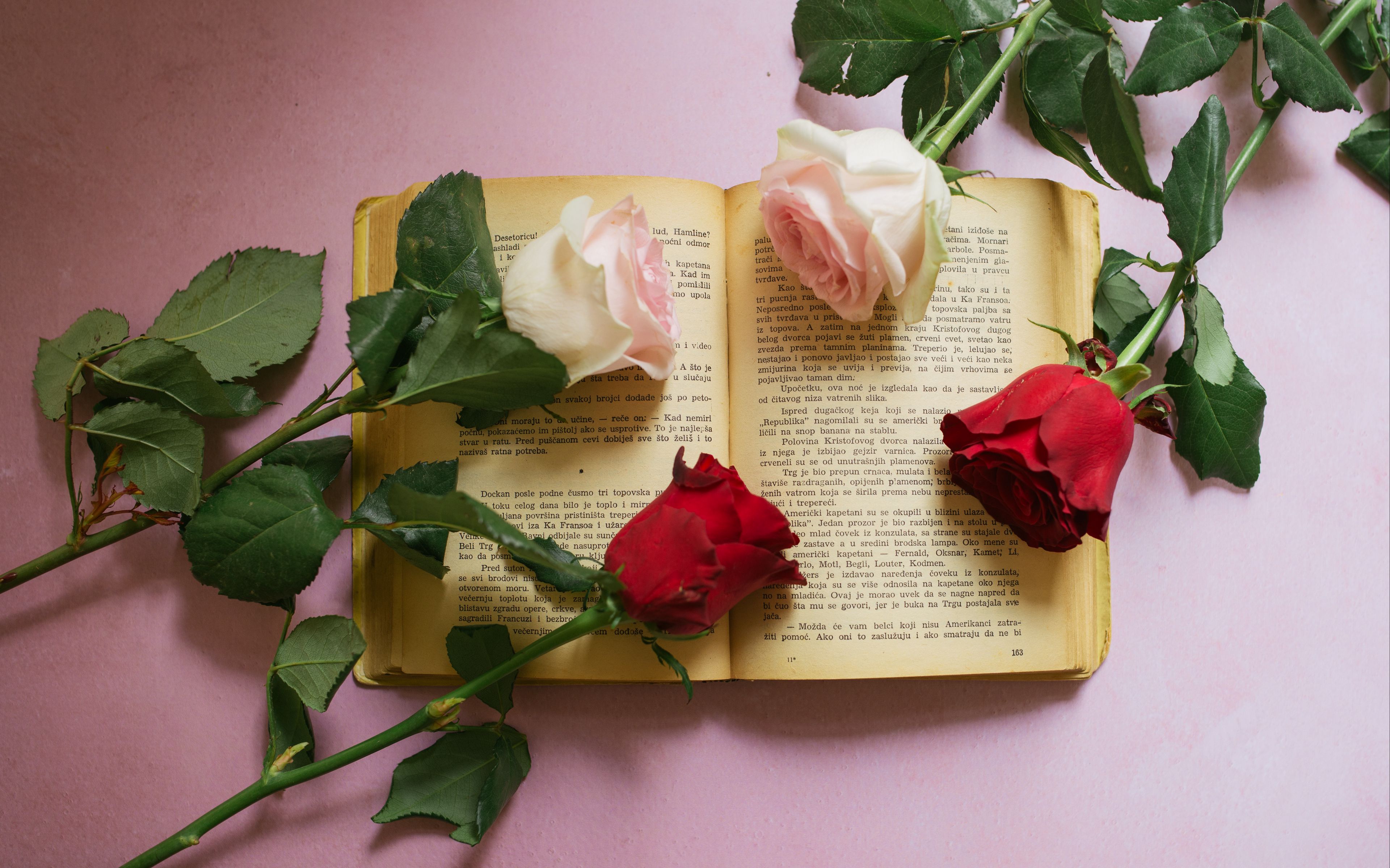 Wallpaper Roses on top of book