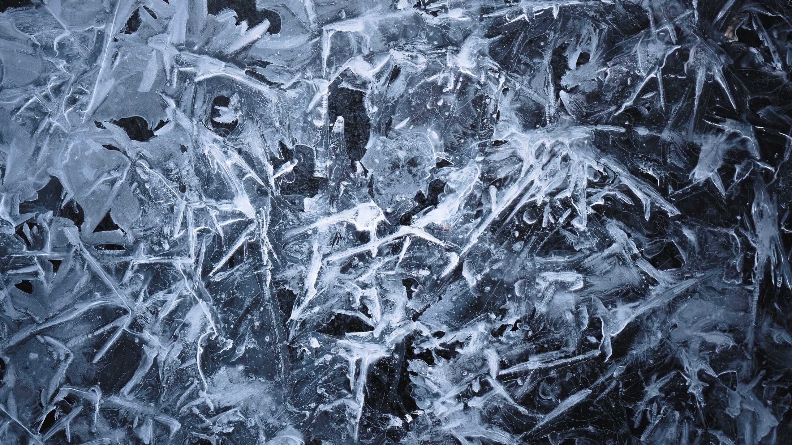 Wallpaper Texture of snowflakes