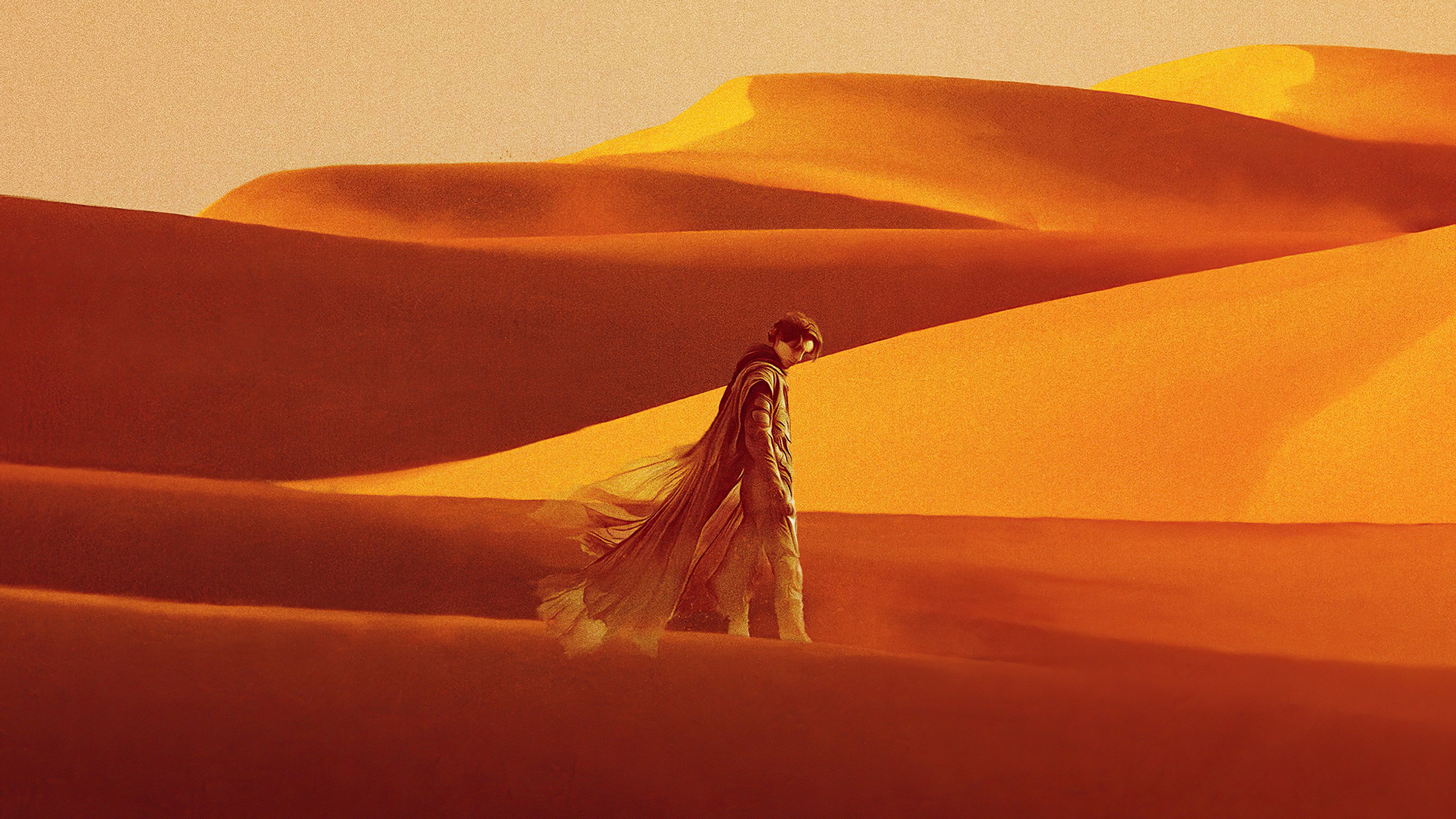 Fondos de pantalla Timothee Chalamet en Dune