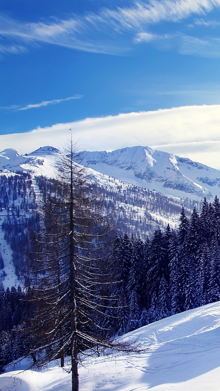 Wallpaper Alps in Austria Vertical