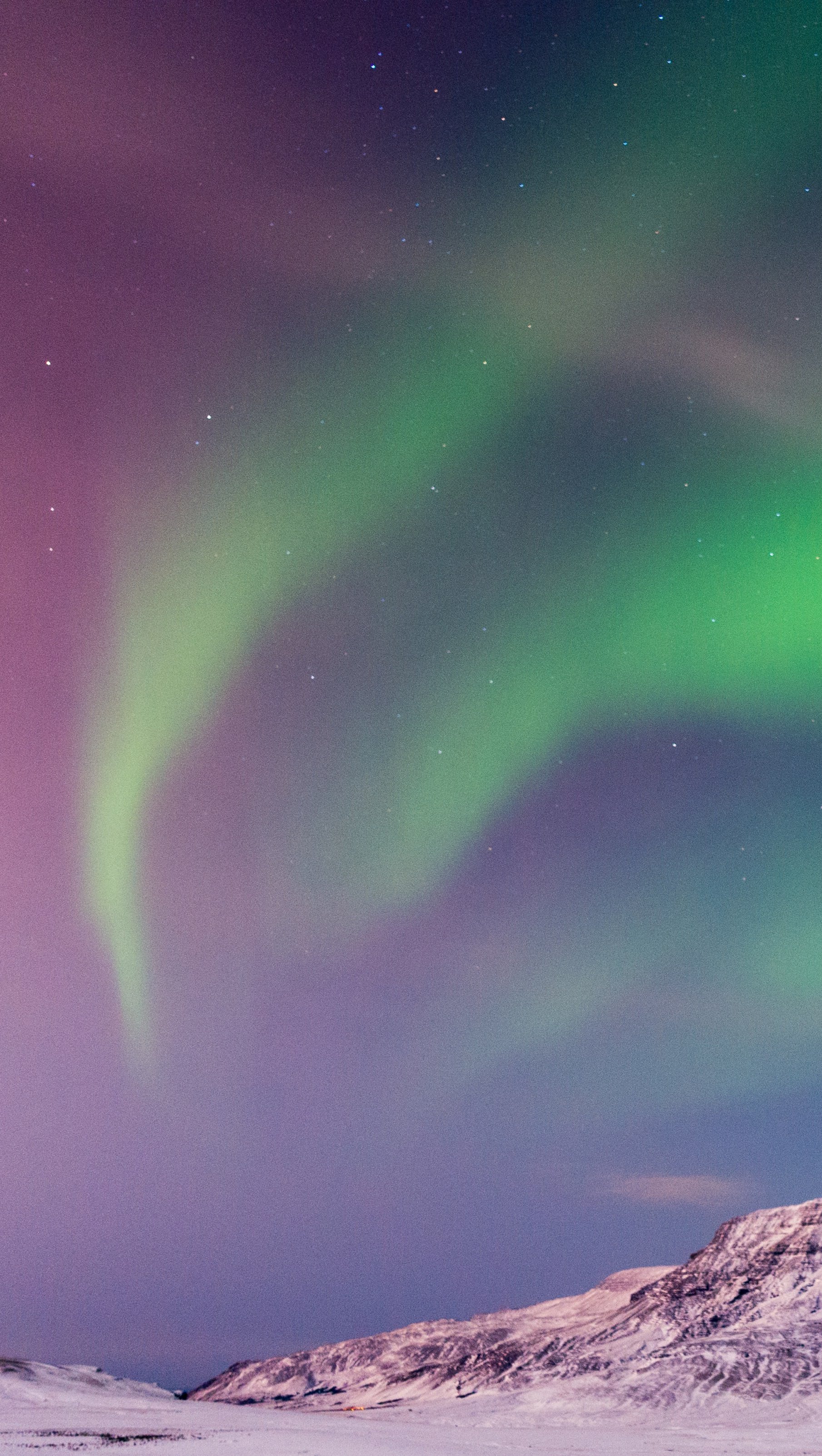 Wallpaper Green and pink norther lights in Island Vertical