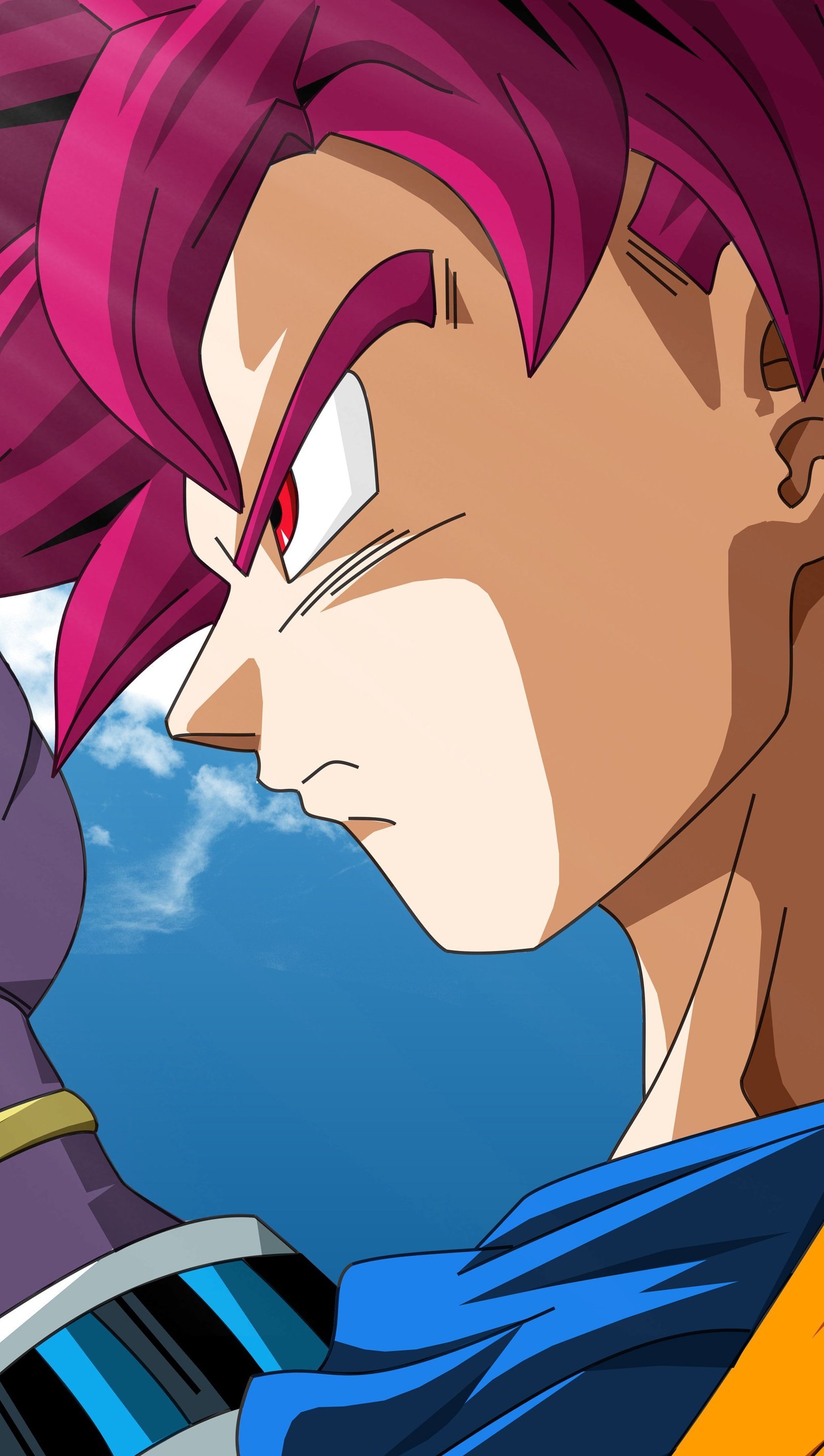 Anime Wallpaper Beerus and Goku Super Saiyan God Vertical