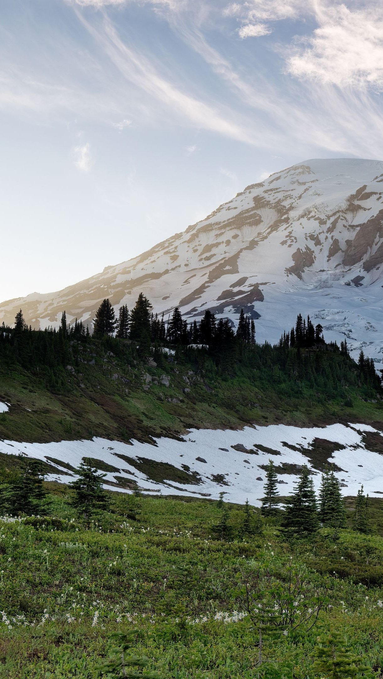 Fondos de pantalla Bosque con montaña de fondo y nieve Vertical