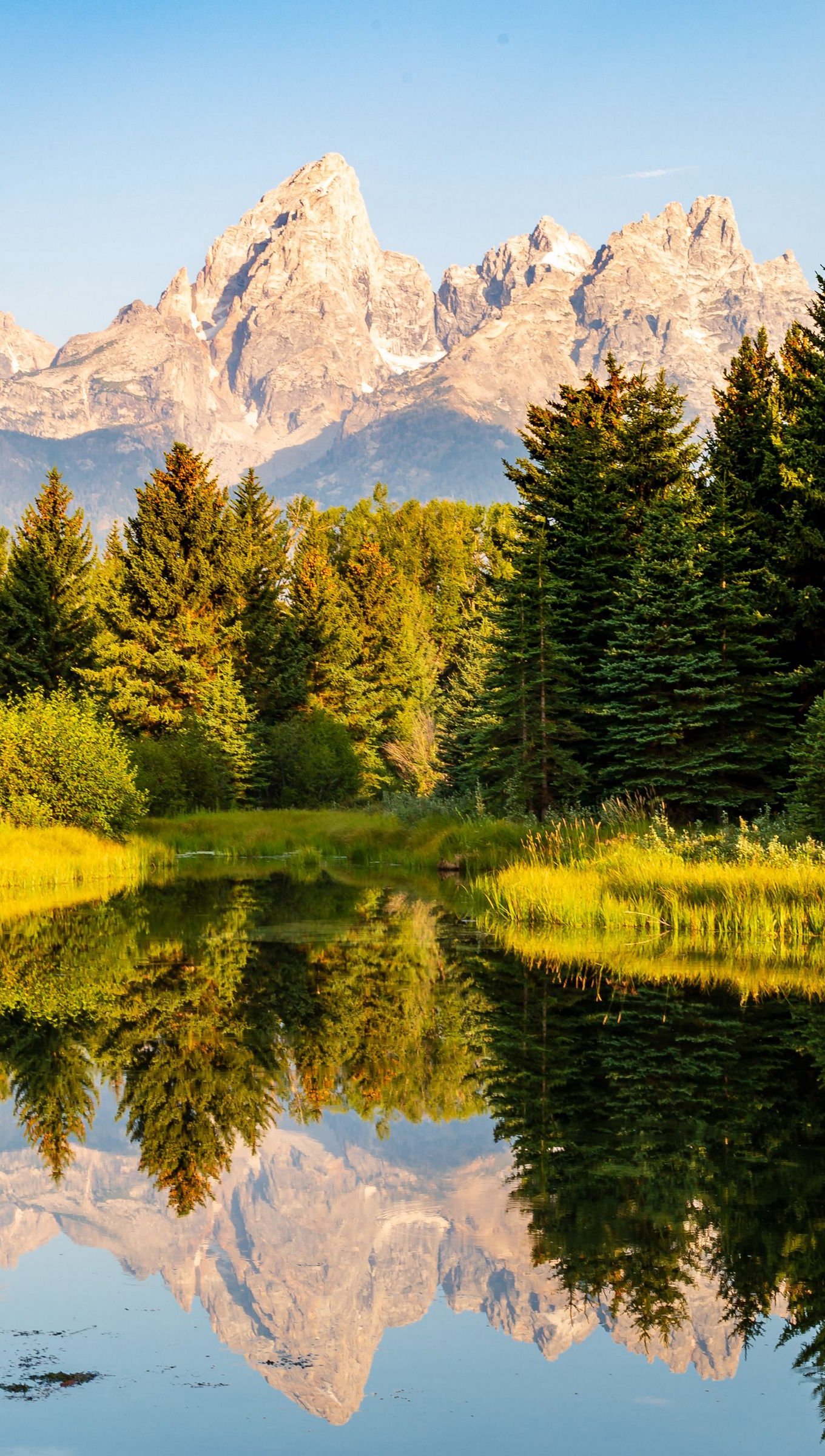 Wallpaper Forest reflected in lake with mountains in the background Vertical