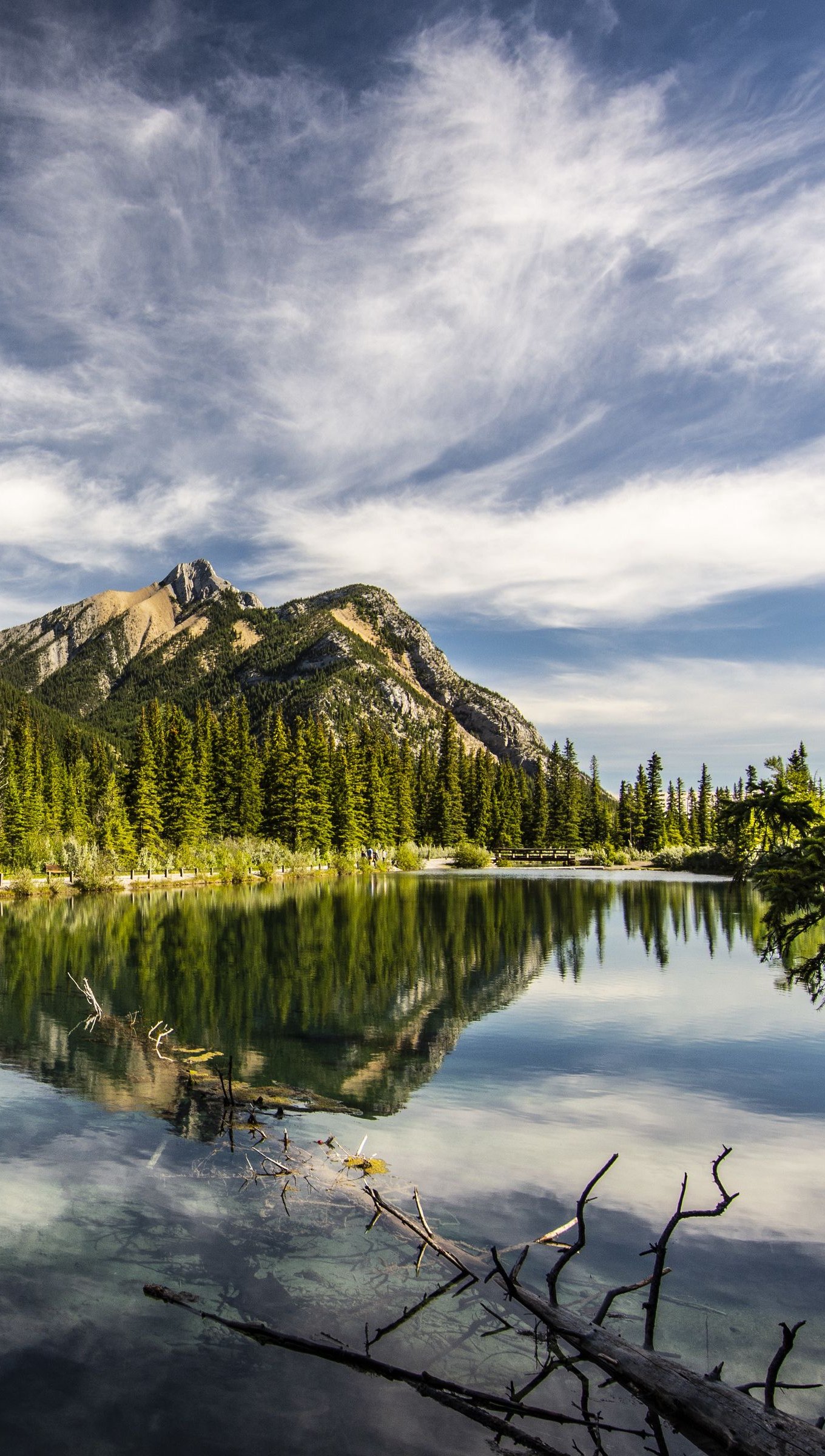 Fondos de pantalla Bosque y montaña reflejados en lago Vertical