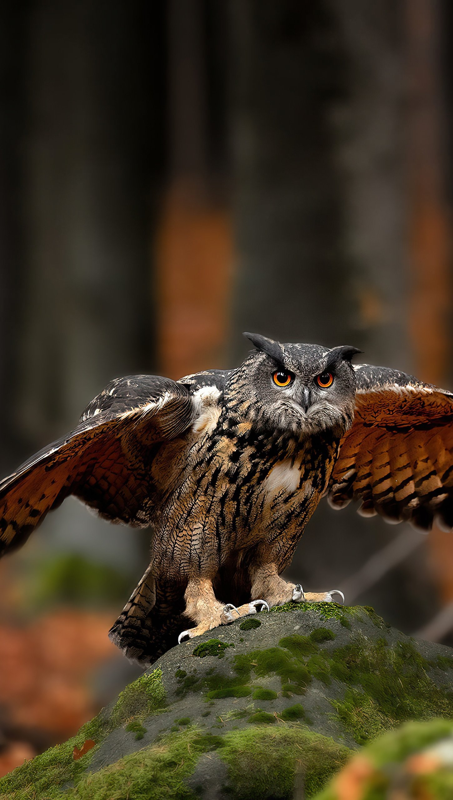 Wallpaper Owl with open wings Vertical