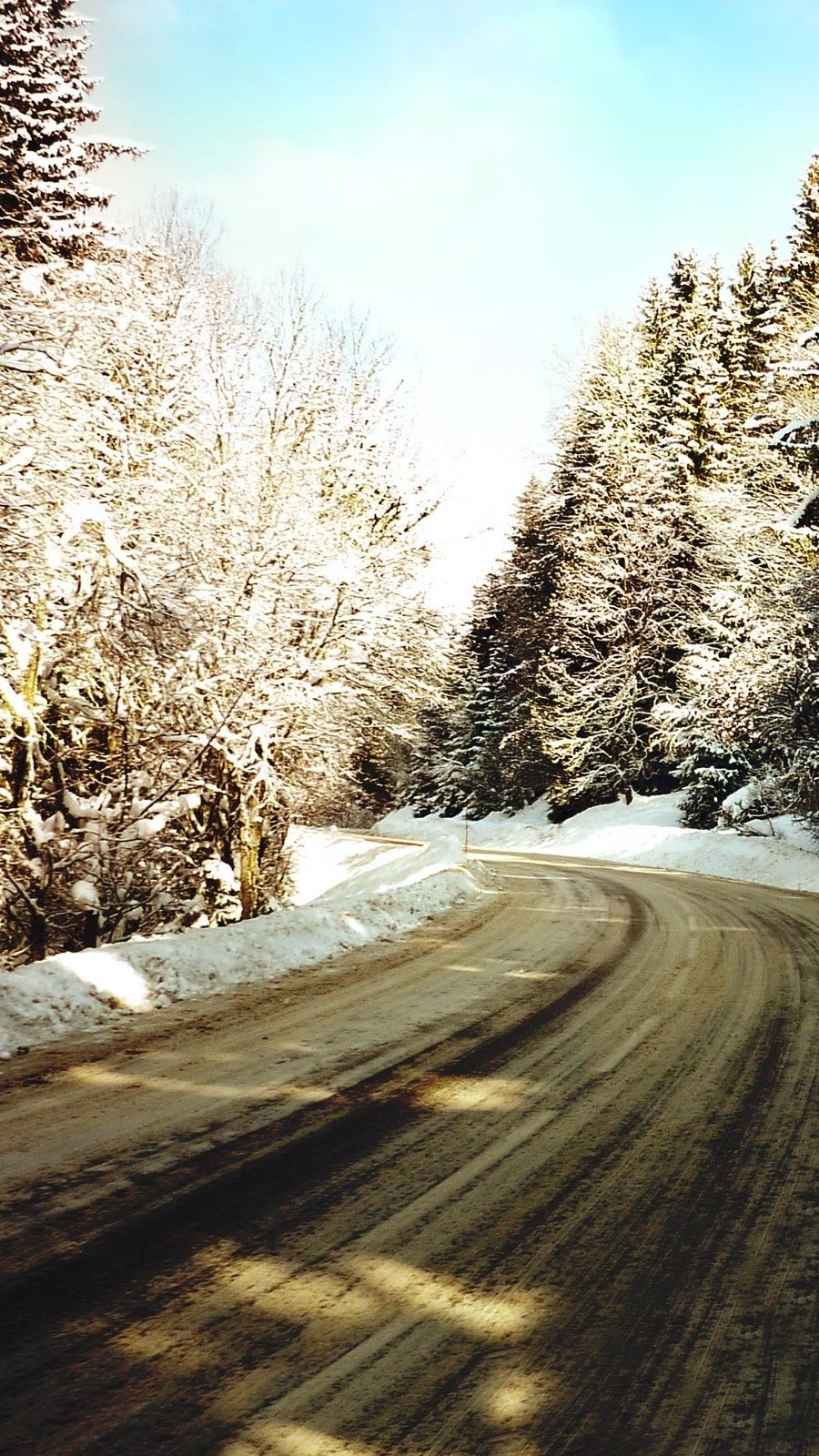Wallpaper Frozen road Vertical