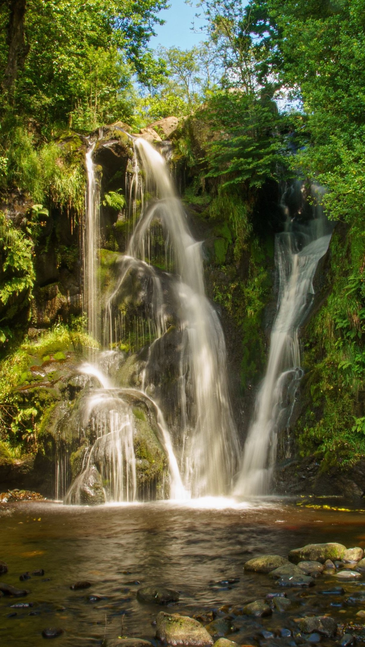 Wallpaper Waterfall in nature Vertical