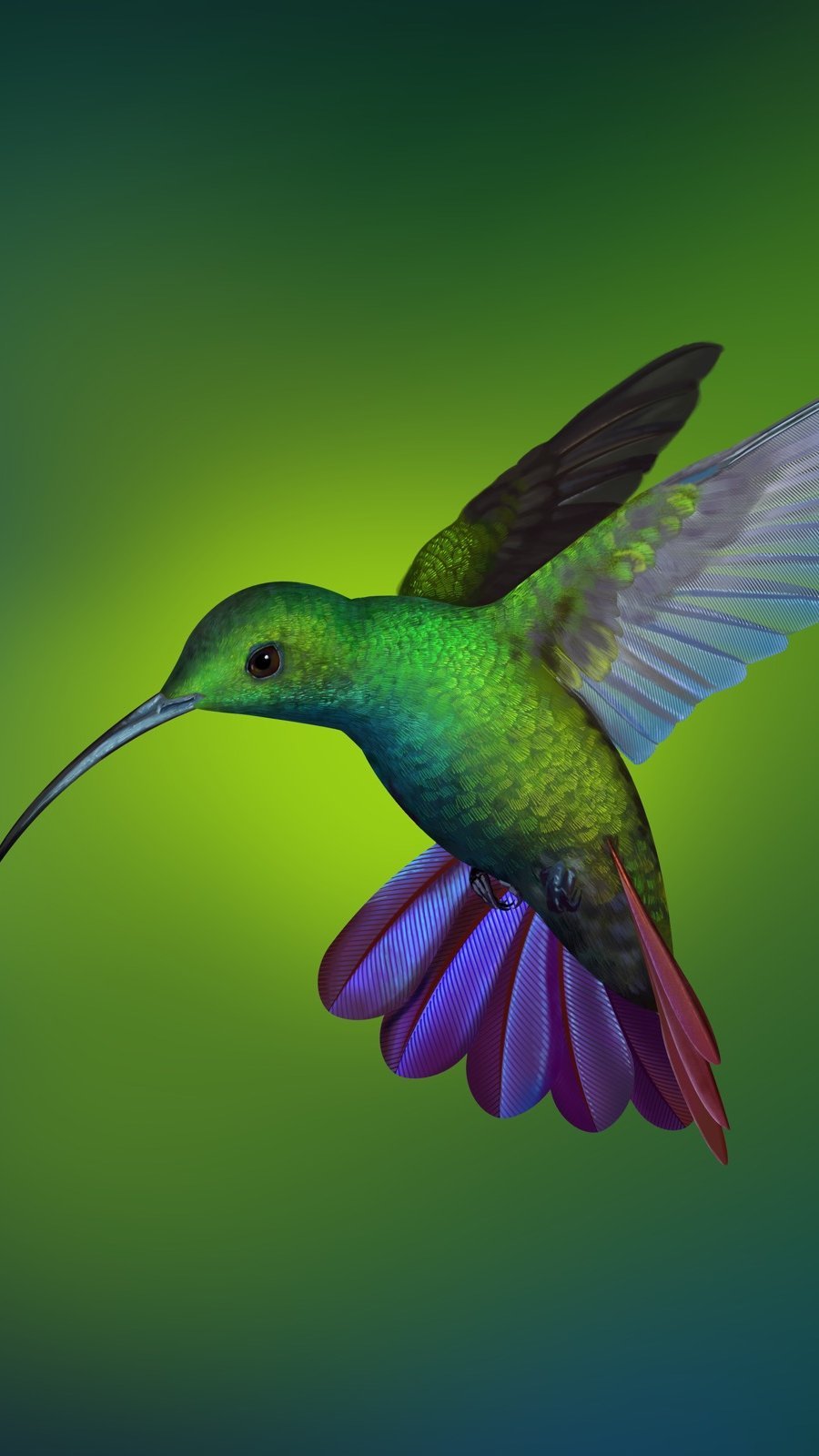 Wallpaper Hummingbird Digital Art Vertical