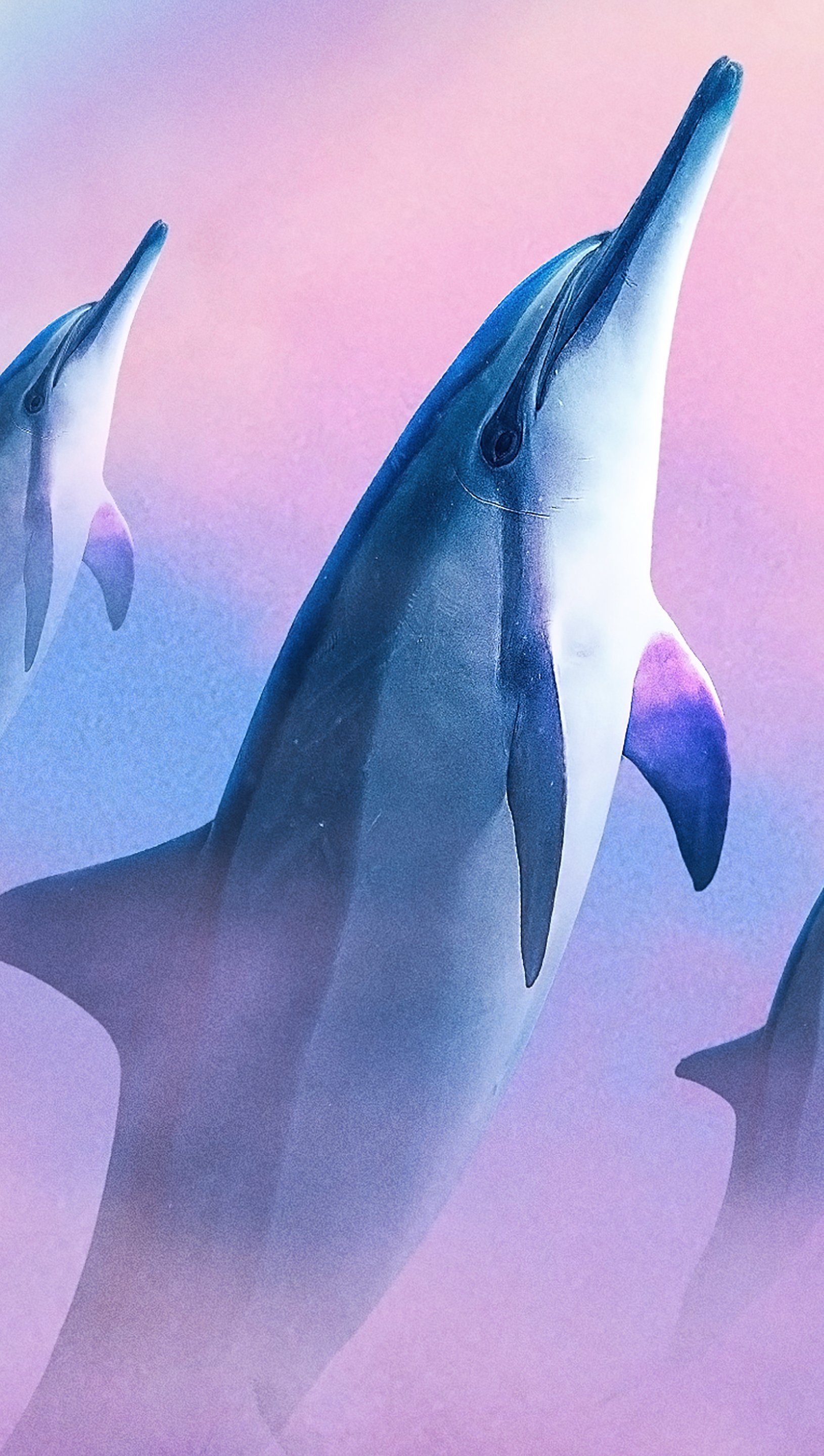 Fondos de pantalla Delfines en el cielo Vertical