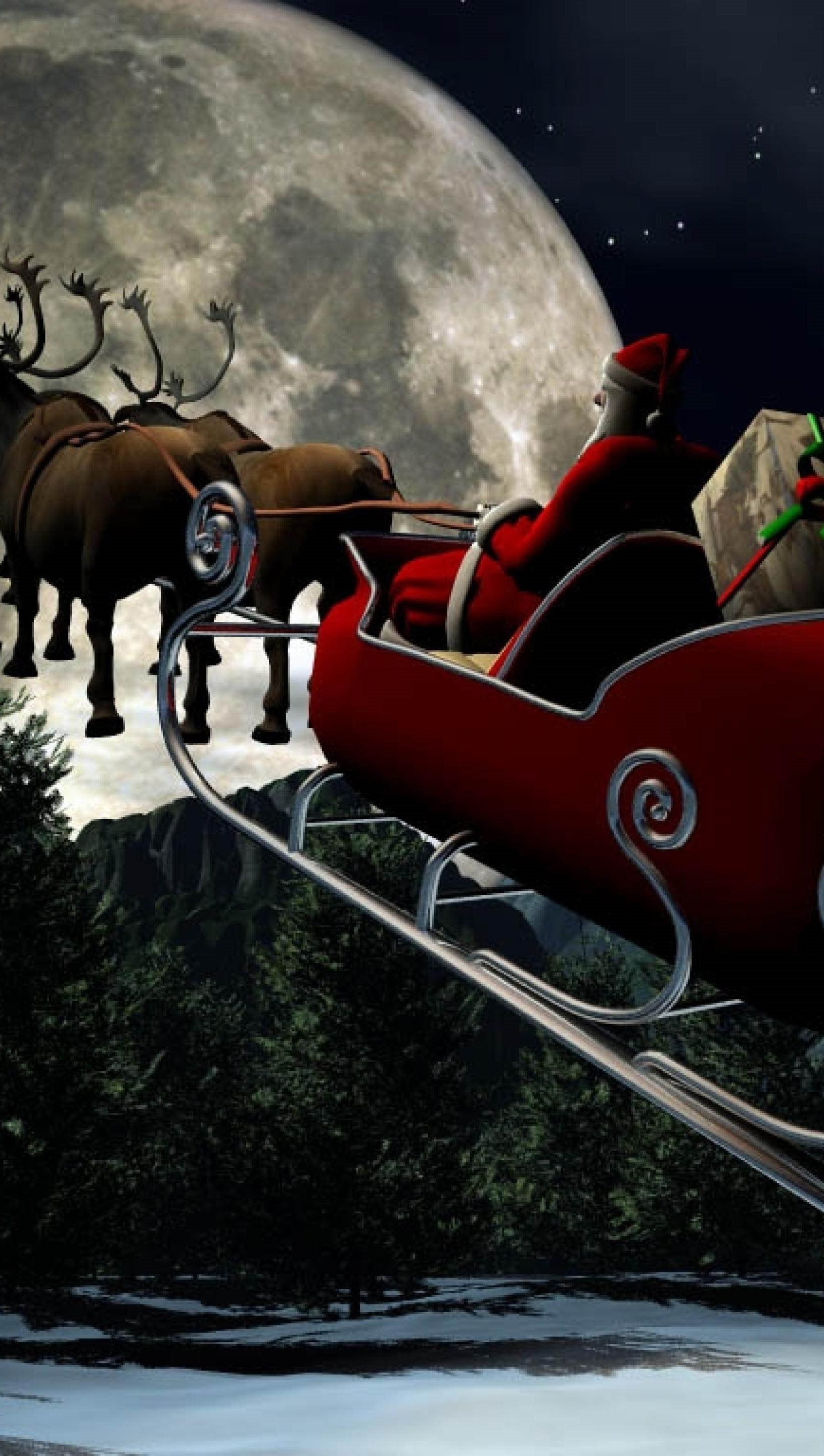 Wallpaper Santa's sleigh Vertical