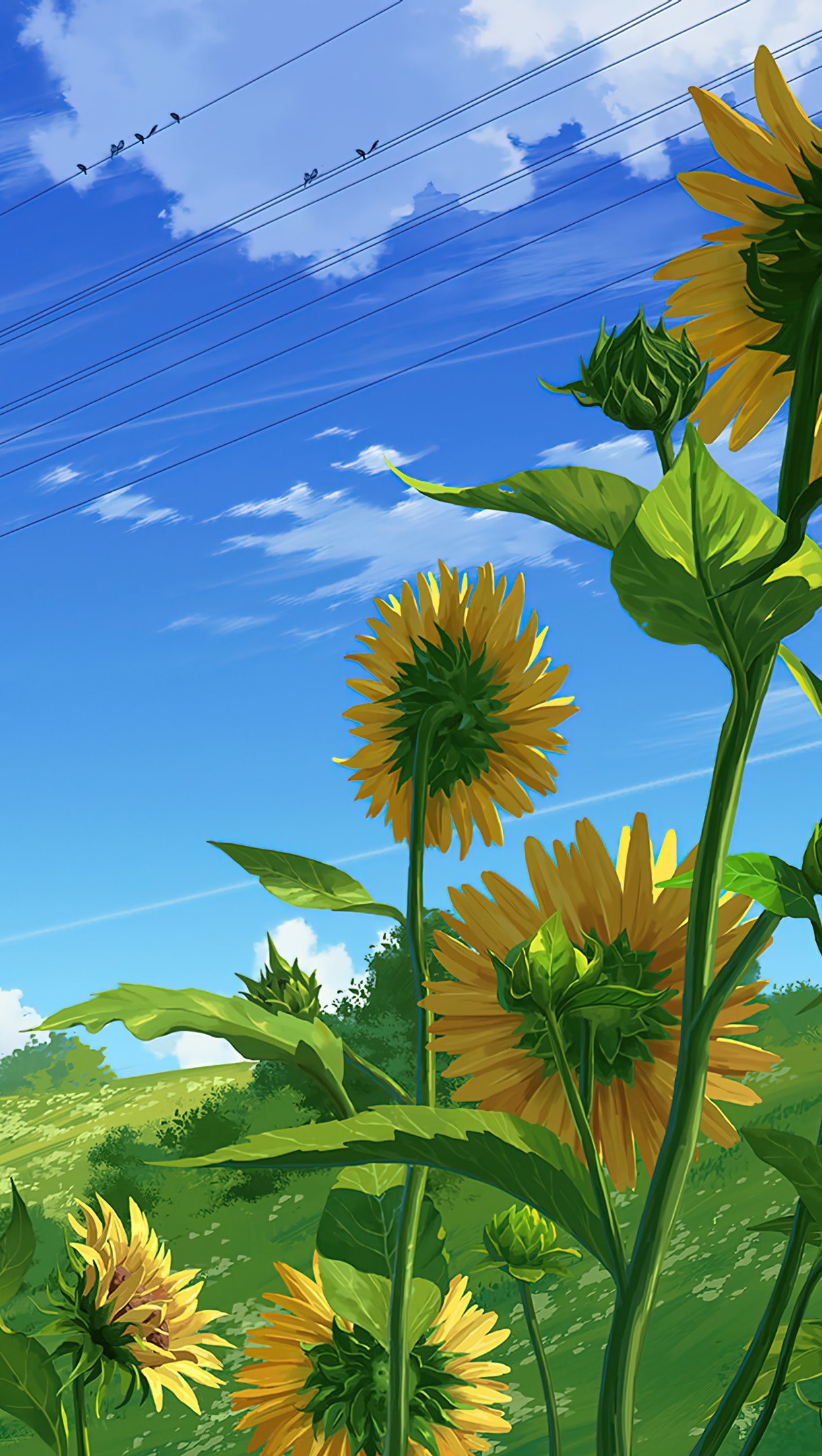 Wallpaper Girasoles en día de verano Anime Vertical