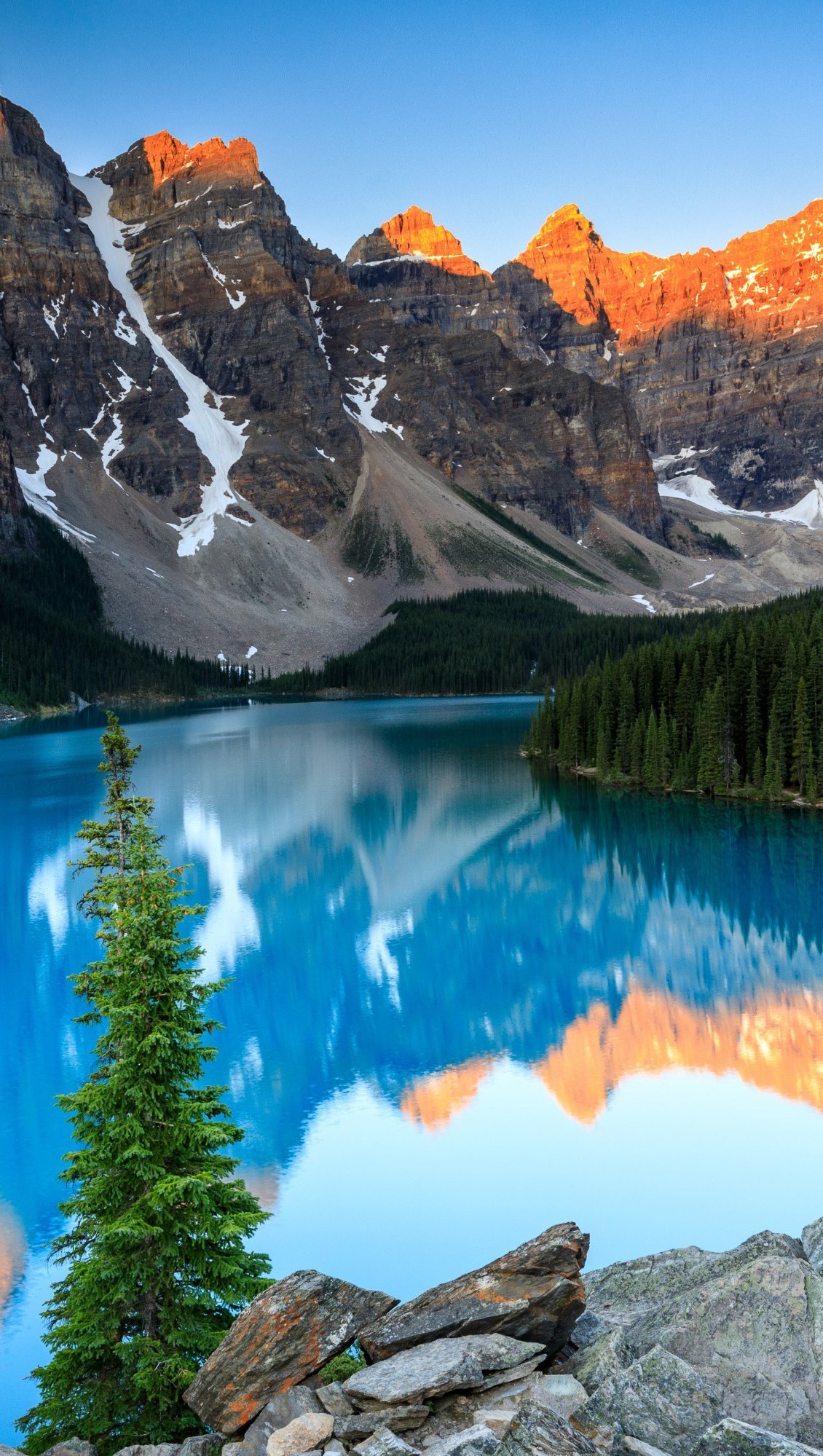 Wallpaper Lake in the forest surrounded by mountains Vertical