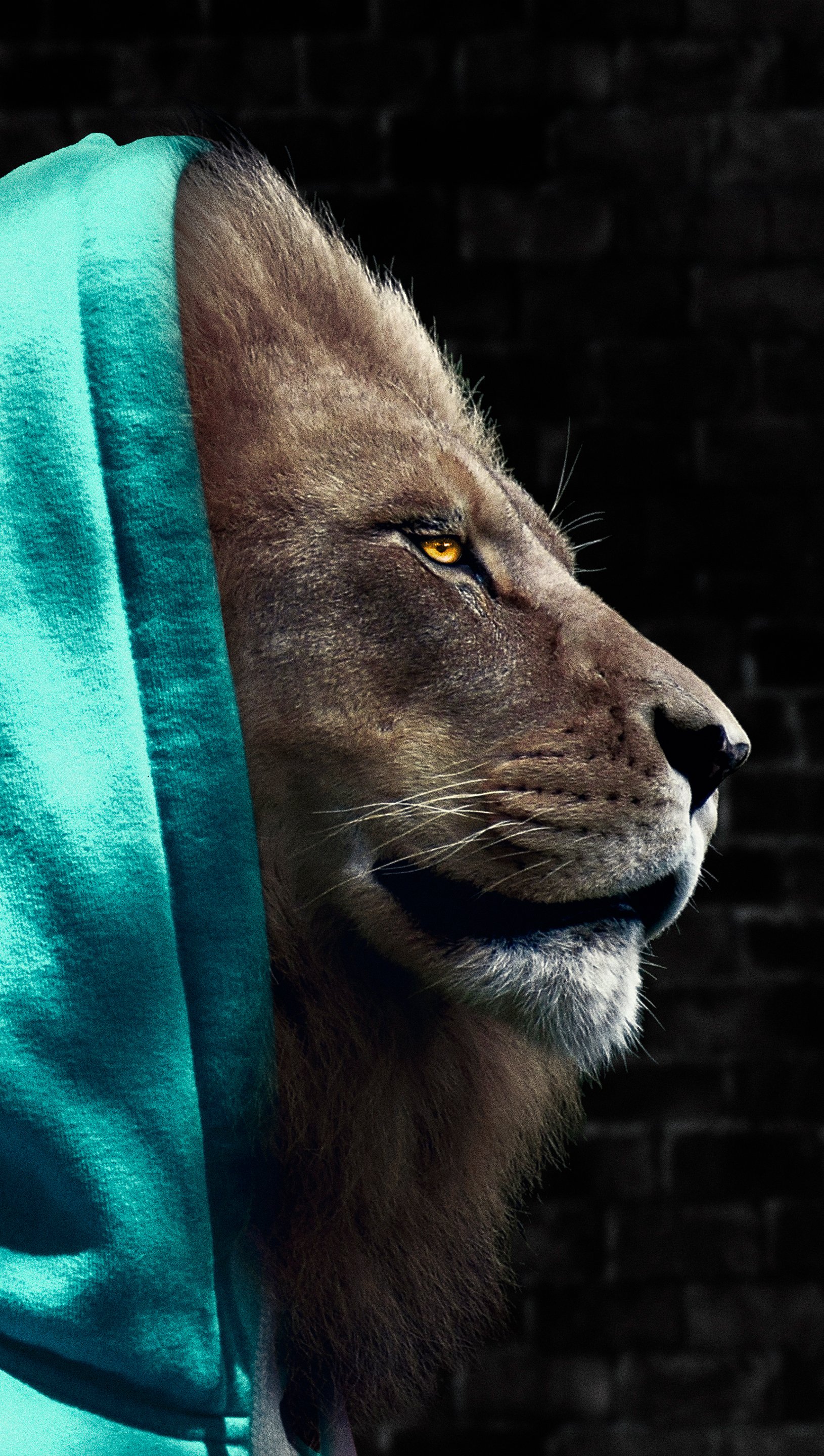 Wallpaper Lion with hoodie Vertical