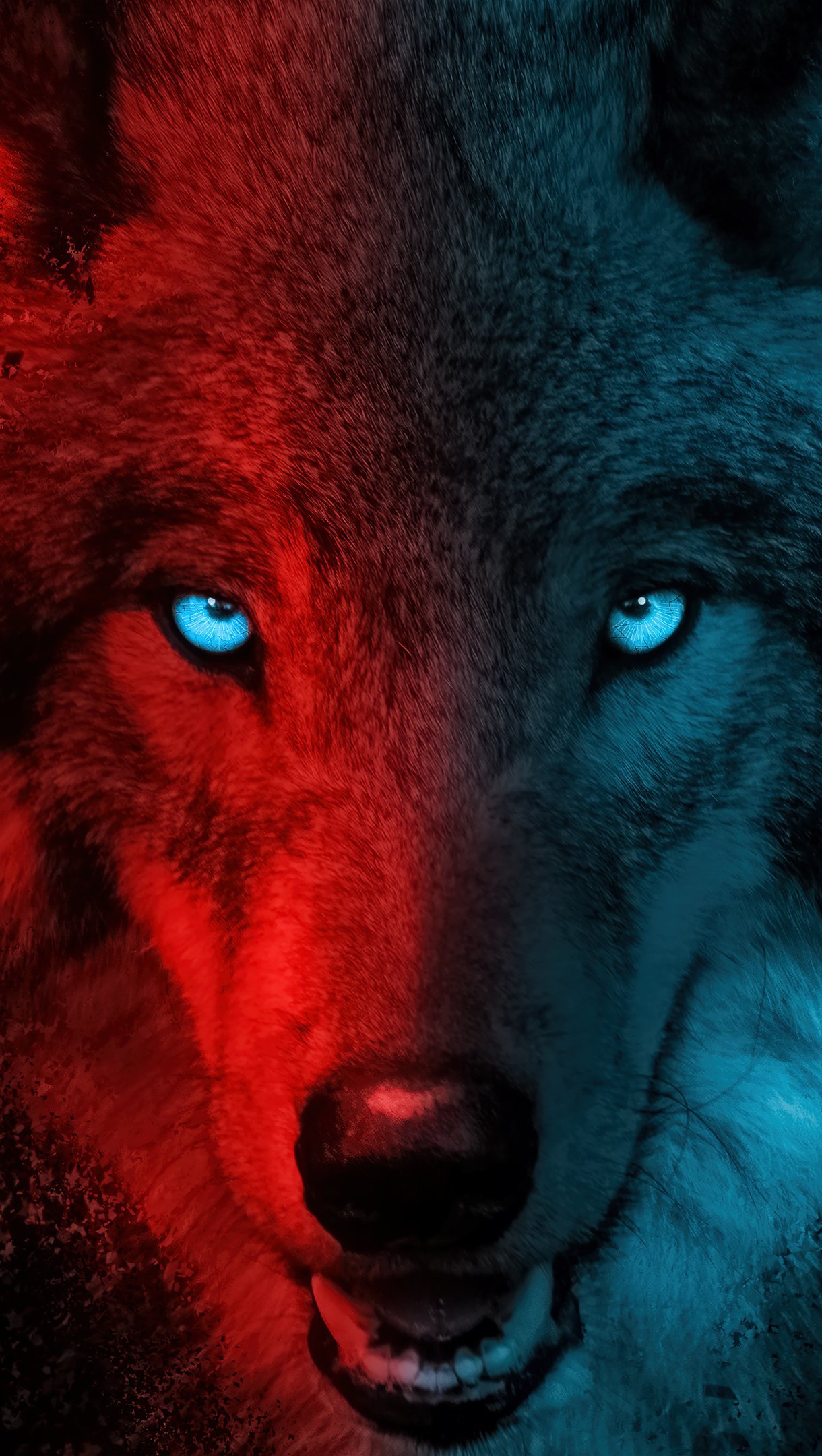 Fondos de pantalla Lobo con luces rojas y azules Vertical