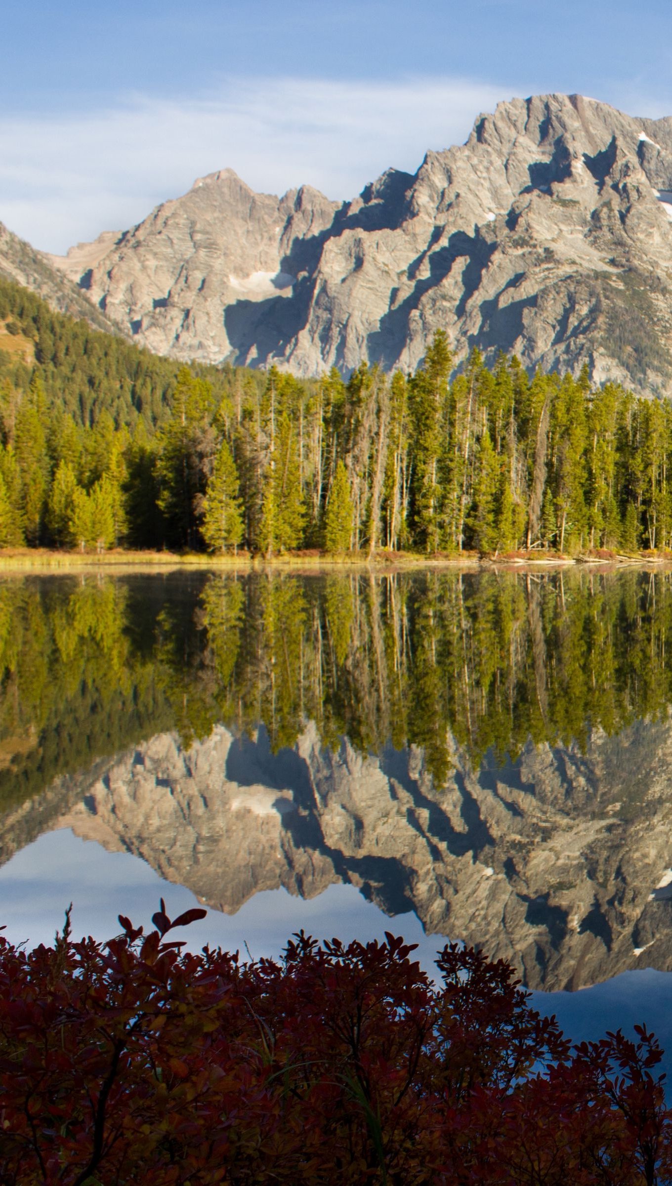 Fondos de pantalla Montaña reflejada en lago en el bosque Vertical