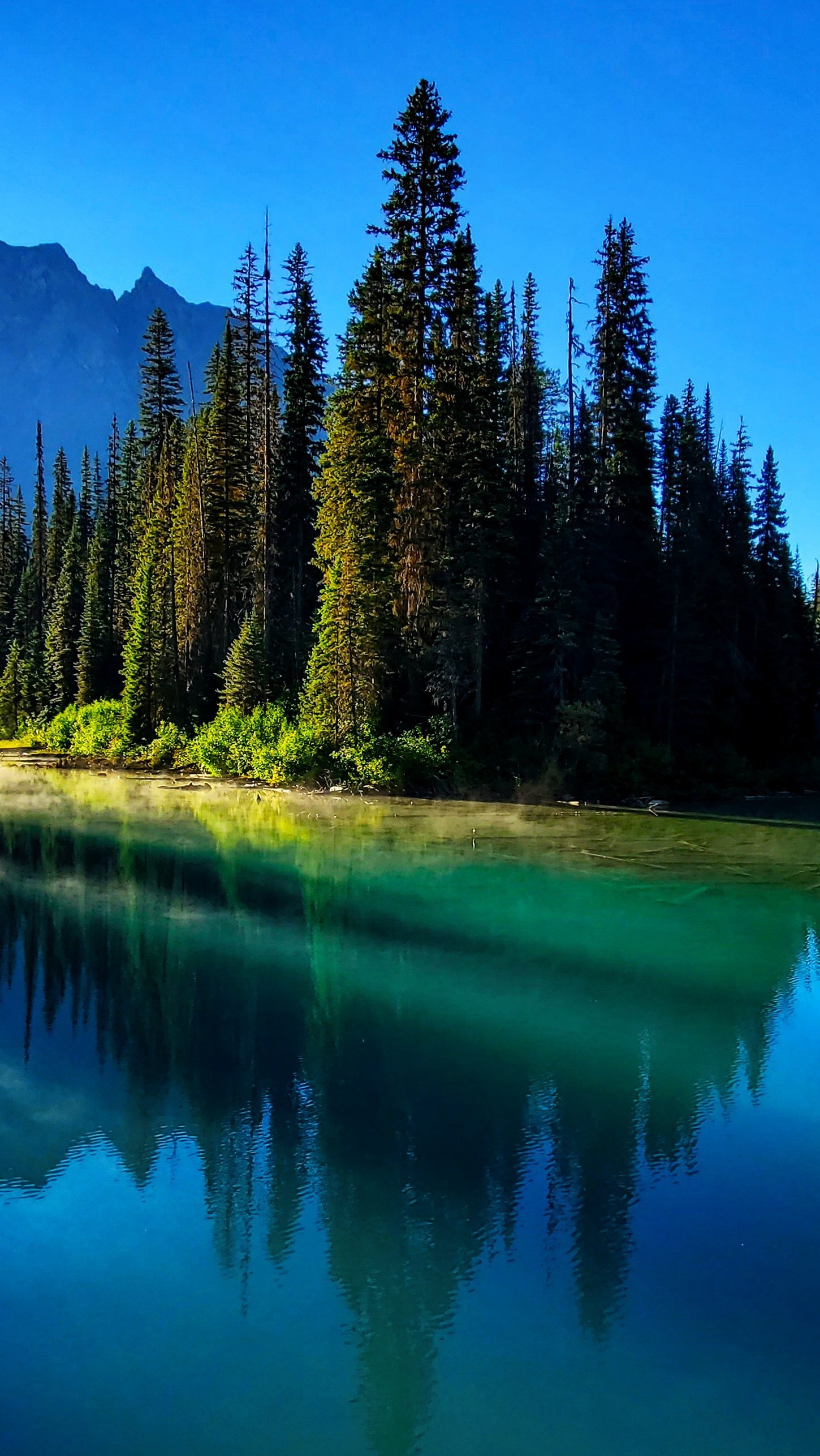 Wallpaper Mountains through lake and threes in Canada Vertical