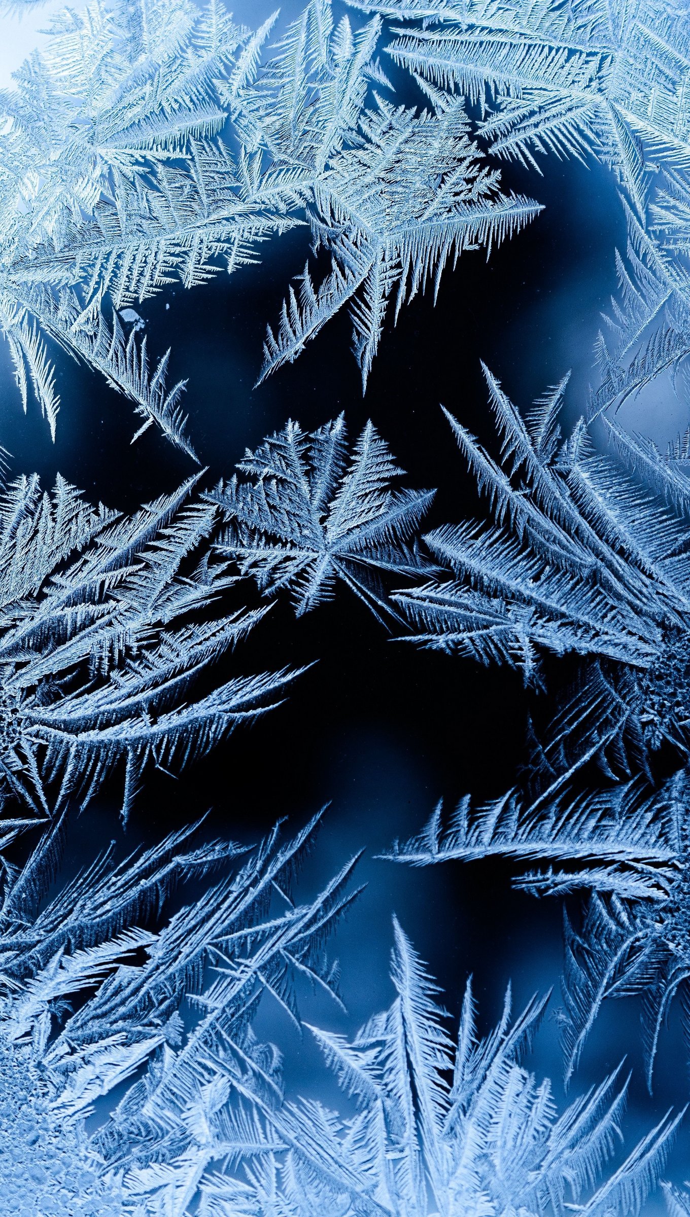Wallpaper Pattern of snowflakes Vertical