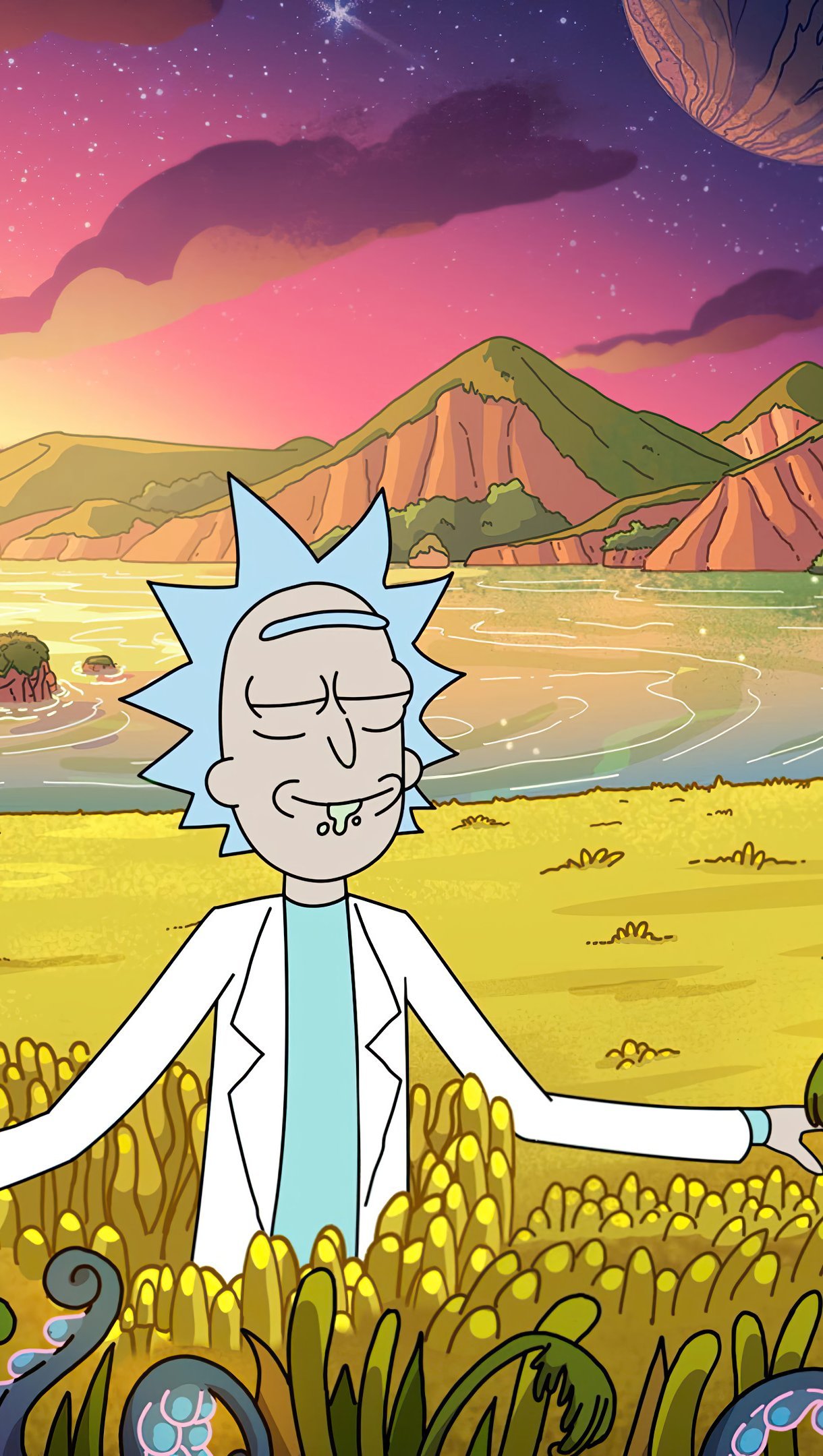 Wallpaper Rick in another planet Vertical
