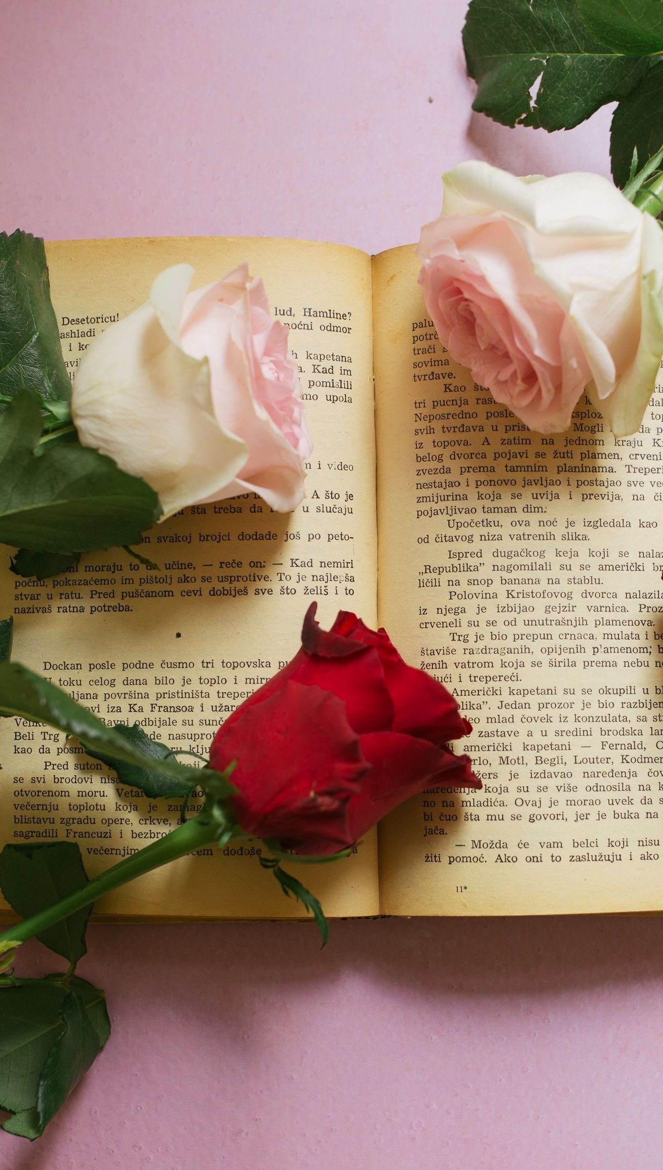 Wallpaper Roses on top of book Vertical