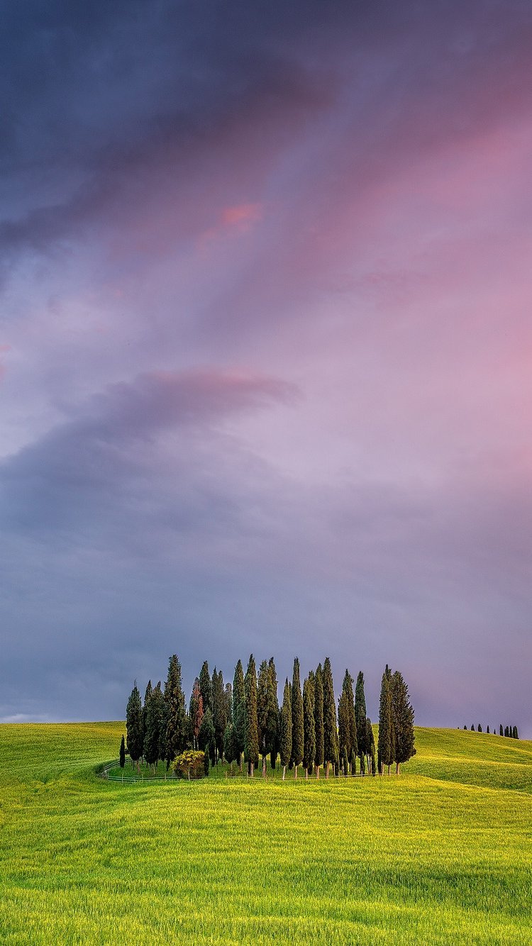 Wallpaper Tuscany in Italy at sunset Vertical
