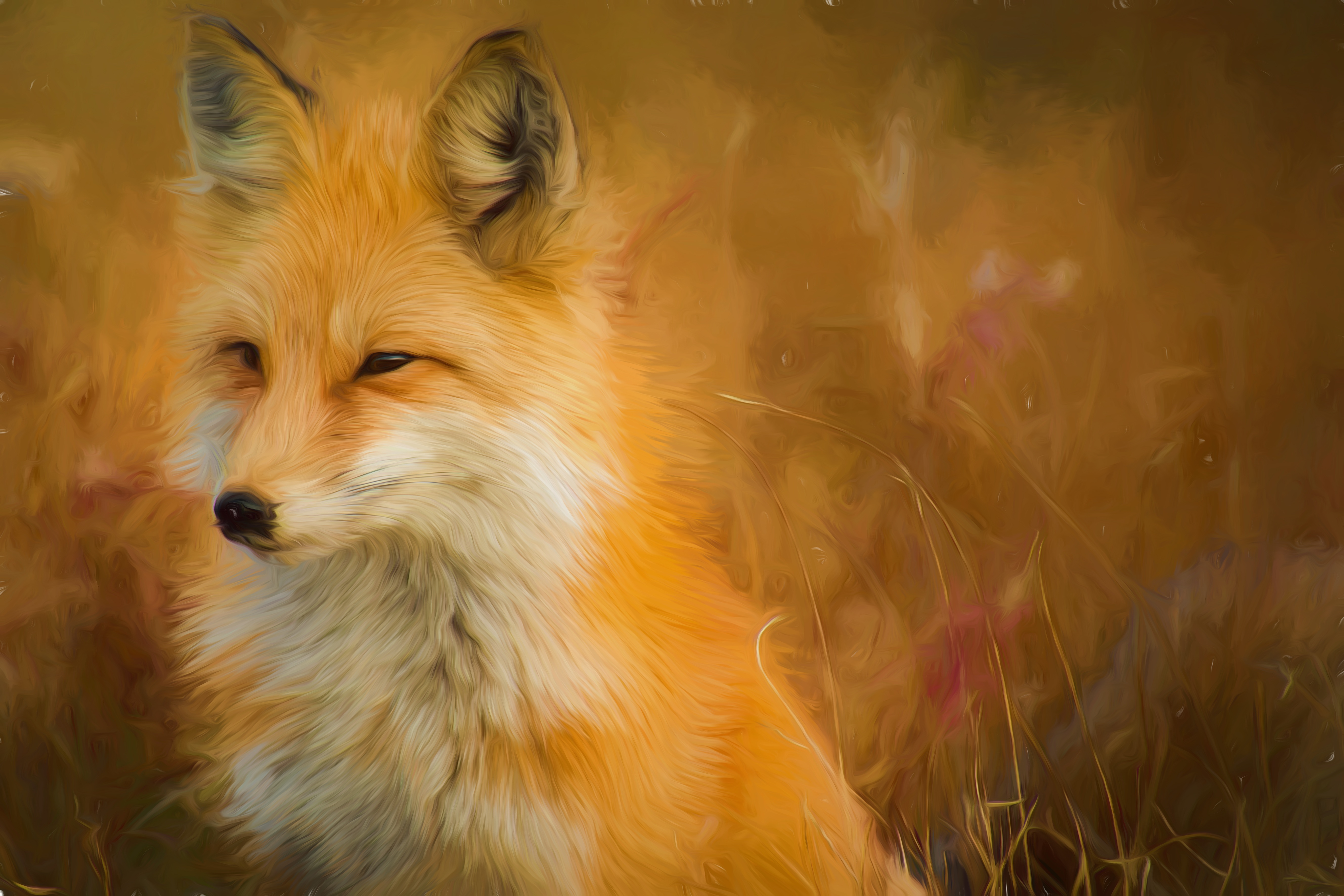 Wallpaper Fox Artwork Painting